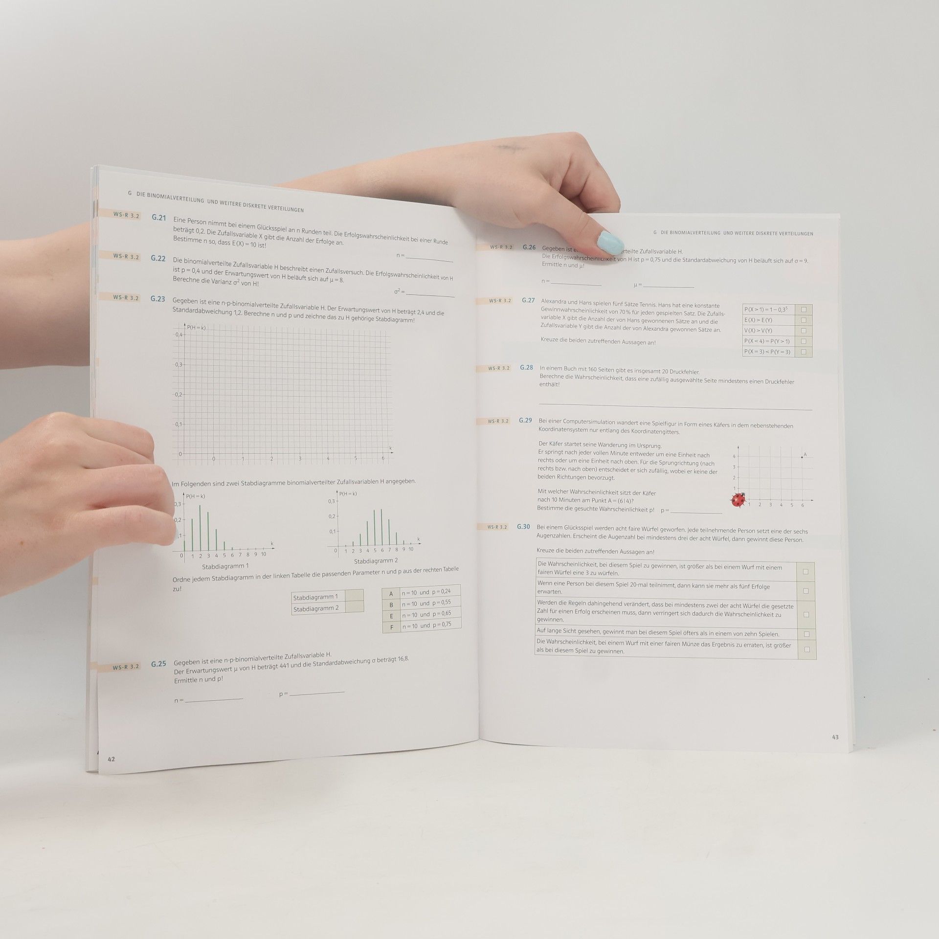 Maria Koth Mathematik verstehen