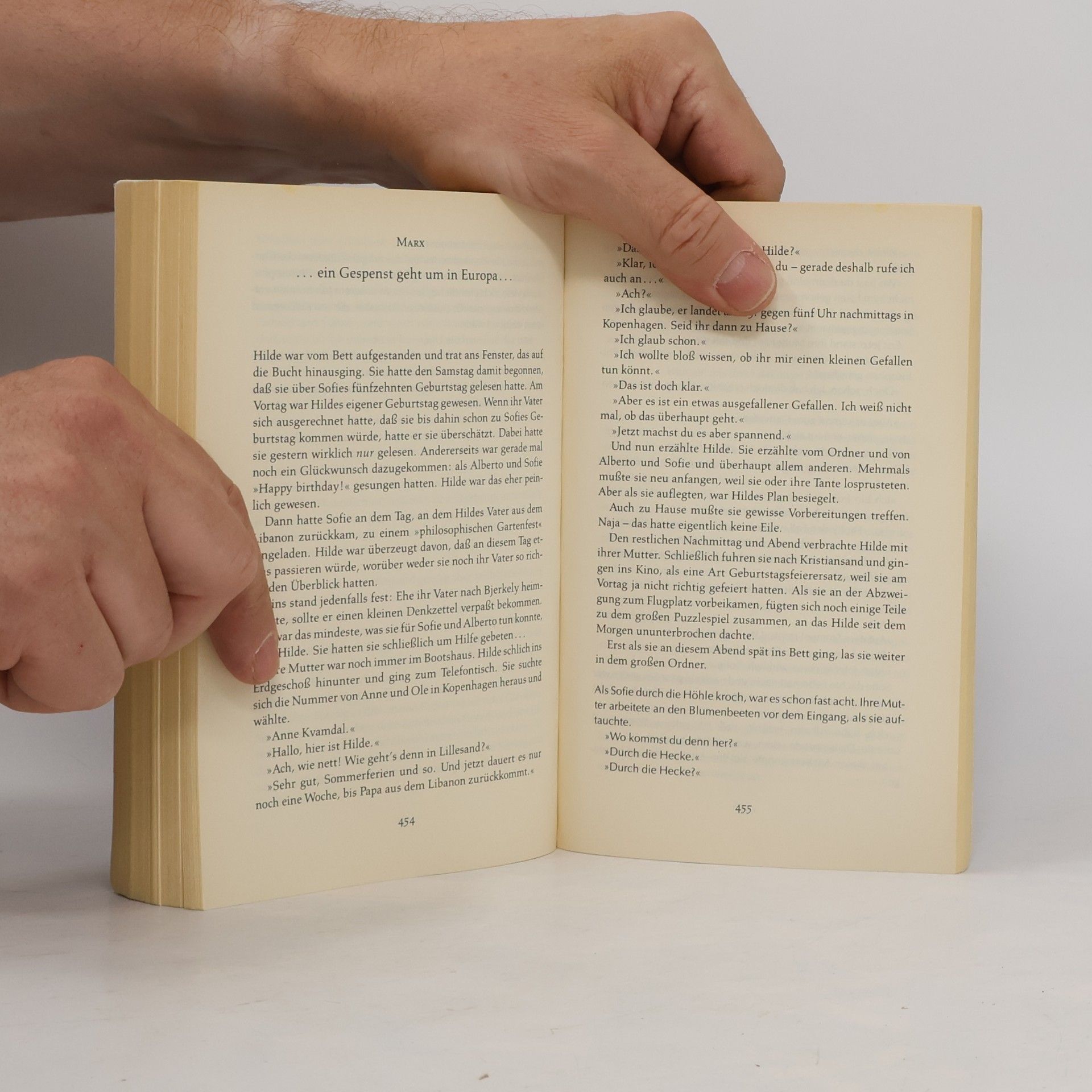 Jostein Gaarder Sofies Welt