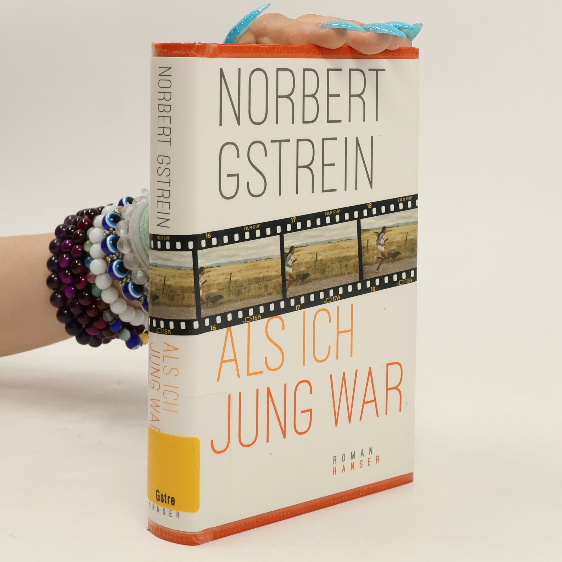 Norbert Gstrein Als ich jung war