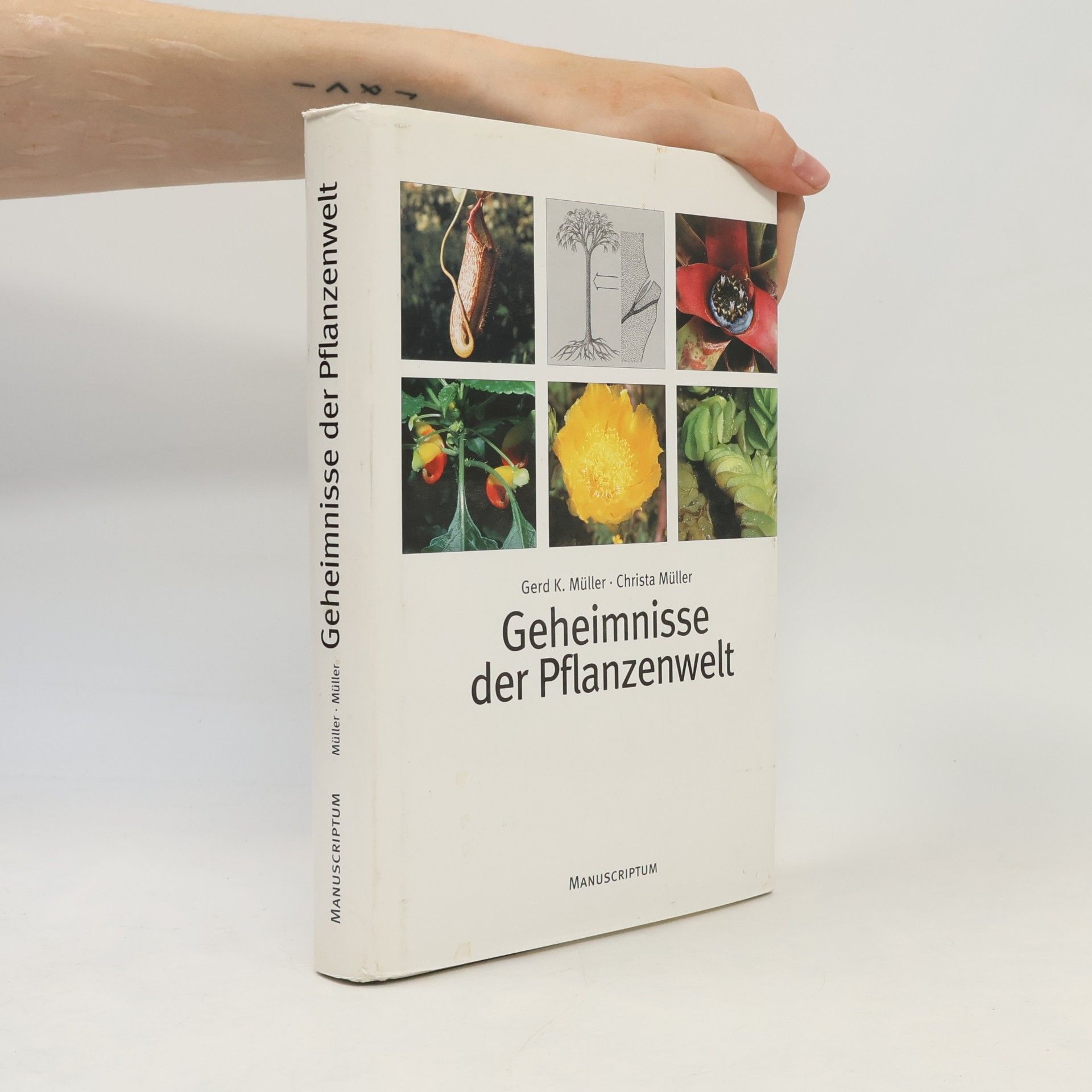 Gerd K. Müller Geheimnisse der Pflanzenwelt