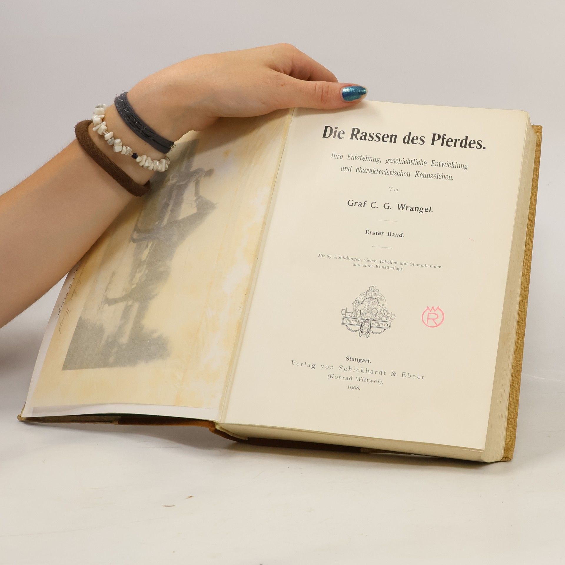 Carl Gustav Wrangel Die Rassen Des Pferdes