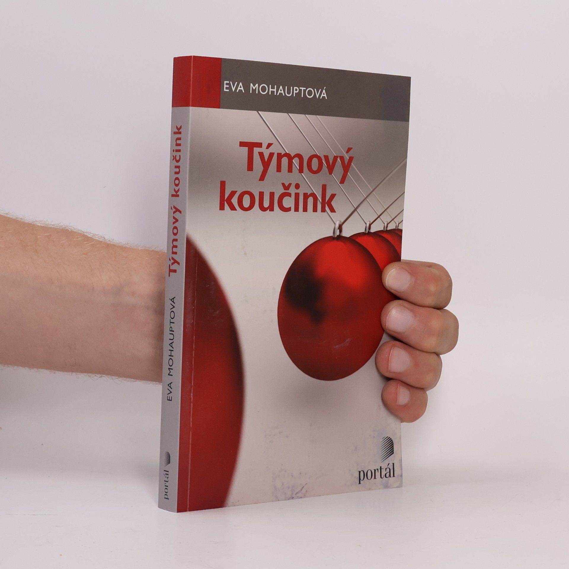 Eva Mohauptová Týmový koučink