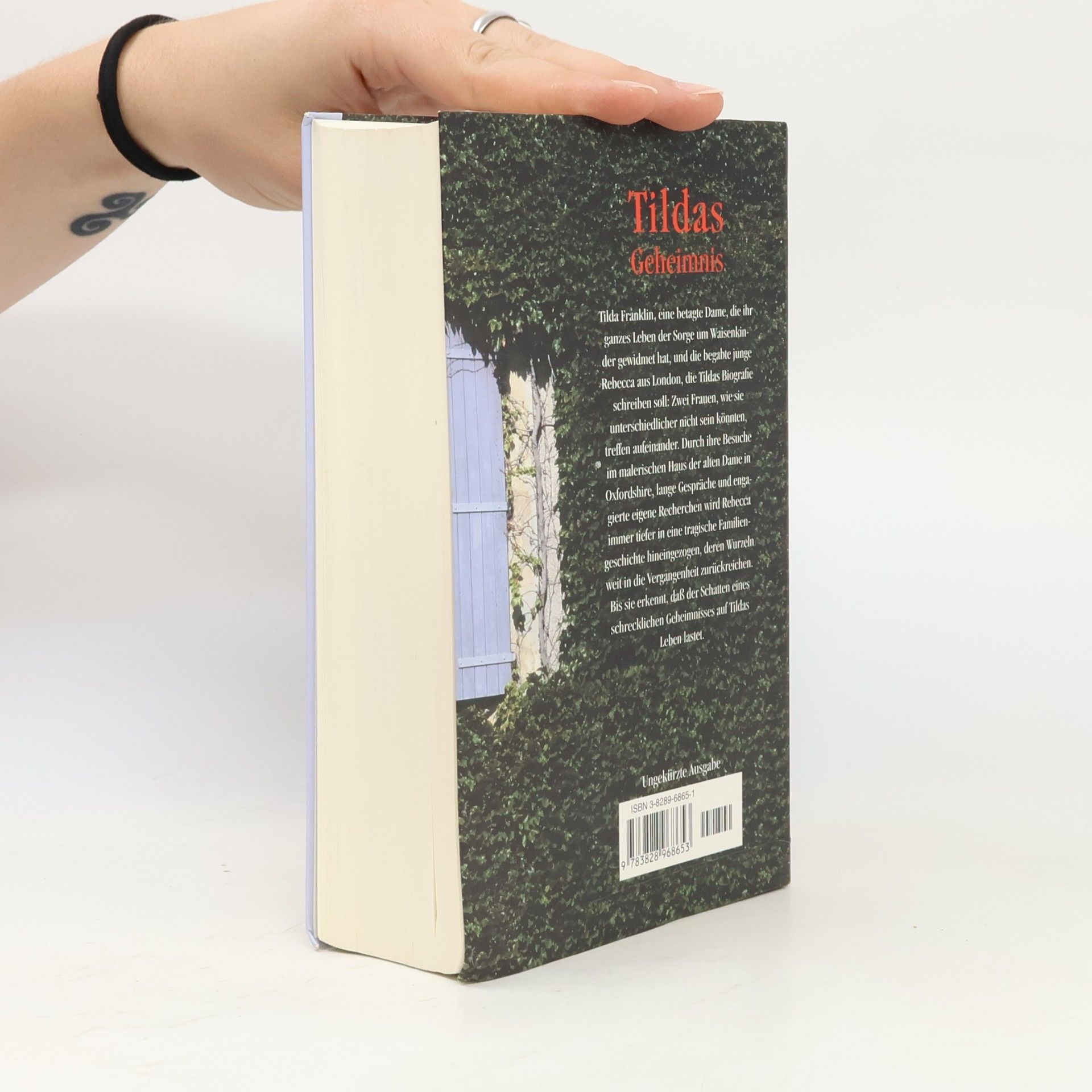 Judith Lennox Tildas Geheimnis