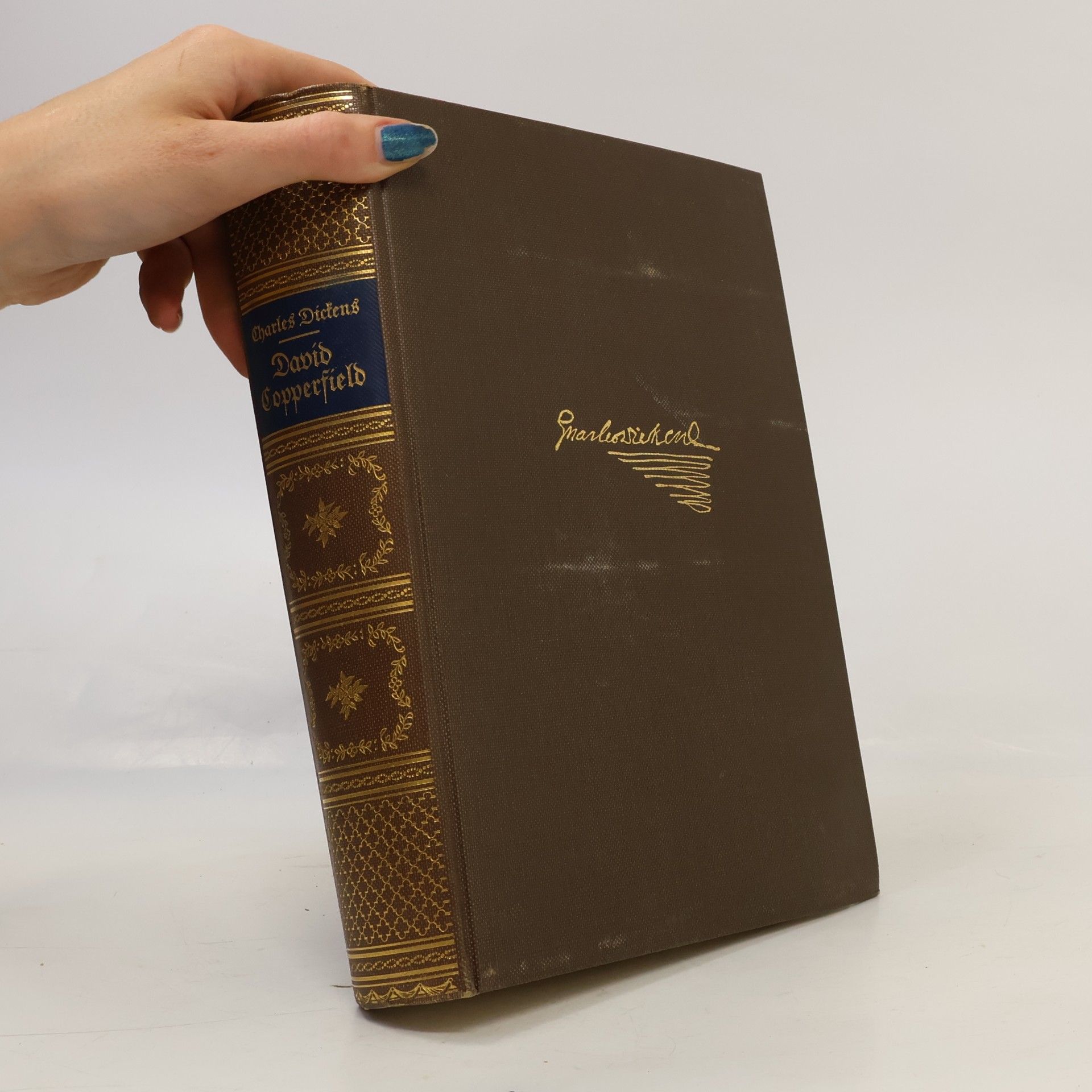 Charles Dickens Lebensgeschichte und Erfahrungen David Copperfields des Jüngeren