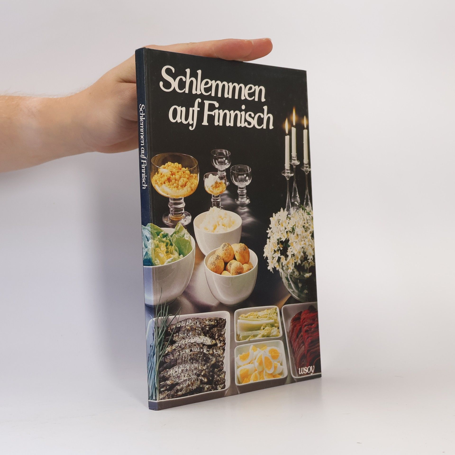 Kolektiv autorů Schlemmen auf Finnisch