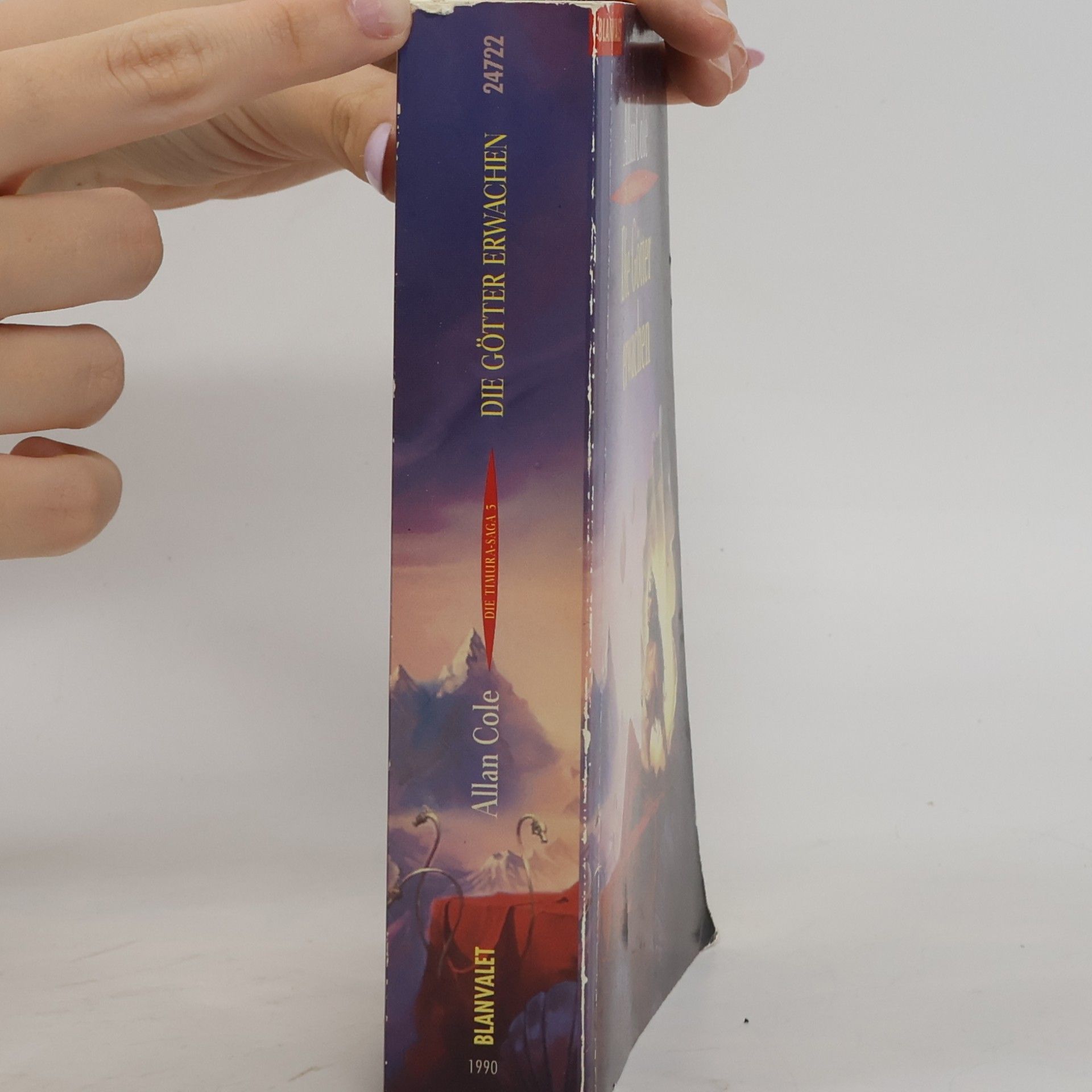 Allan Cole Die Götter erwachen. Fantasy-Roman