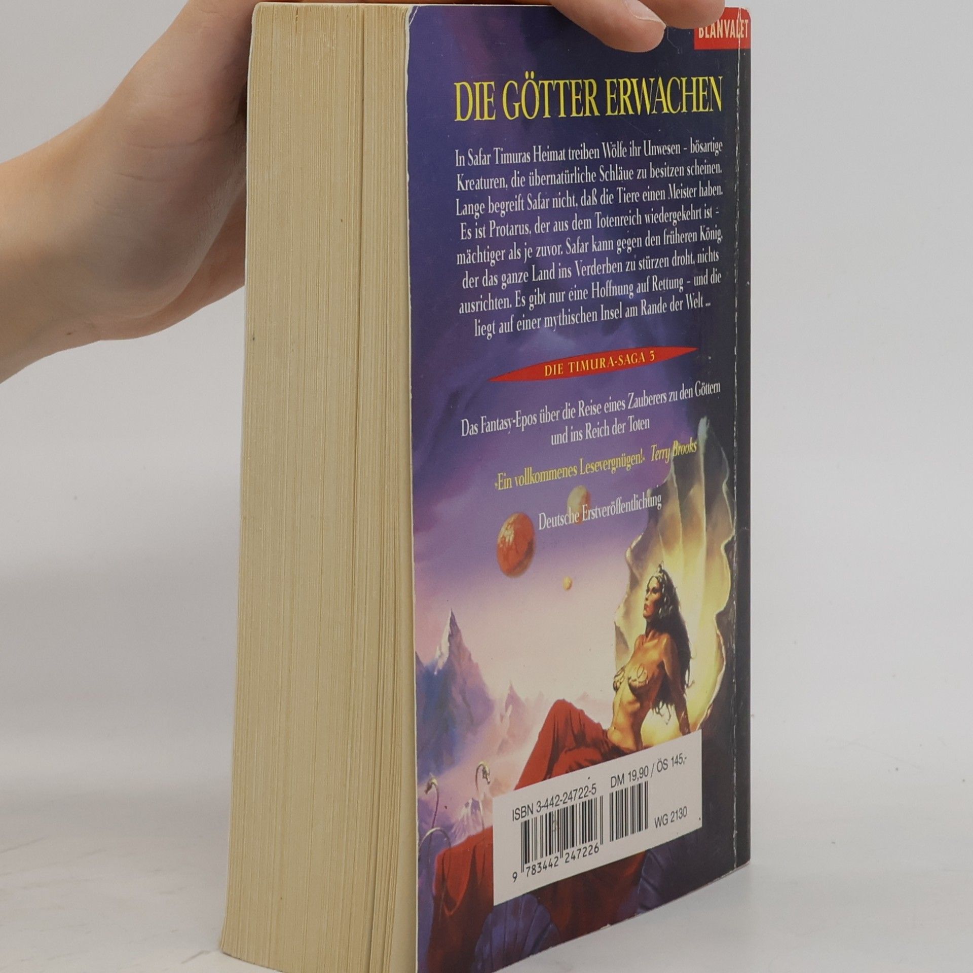 Allan Cole Die Götter erwachen. Fantasy-Roman