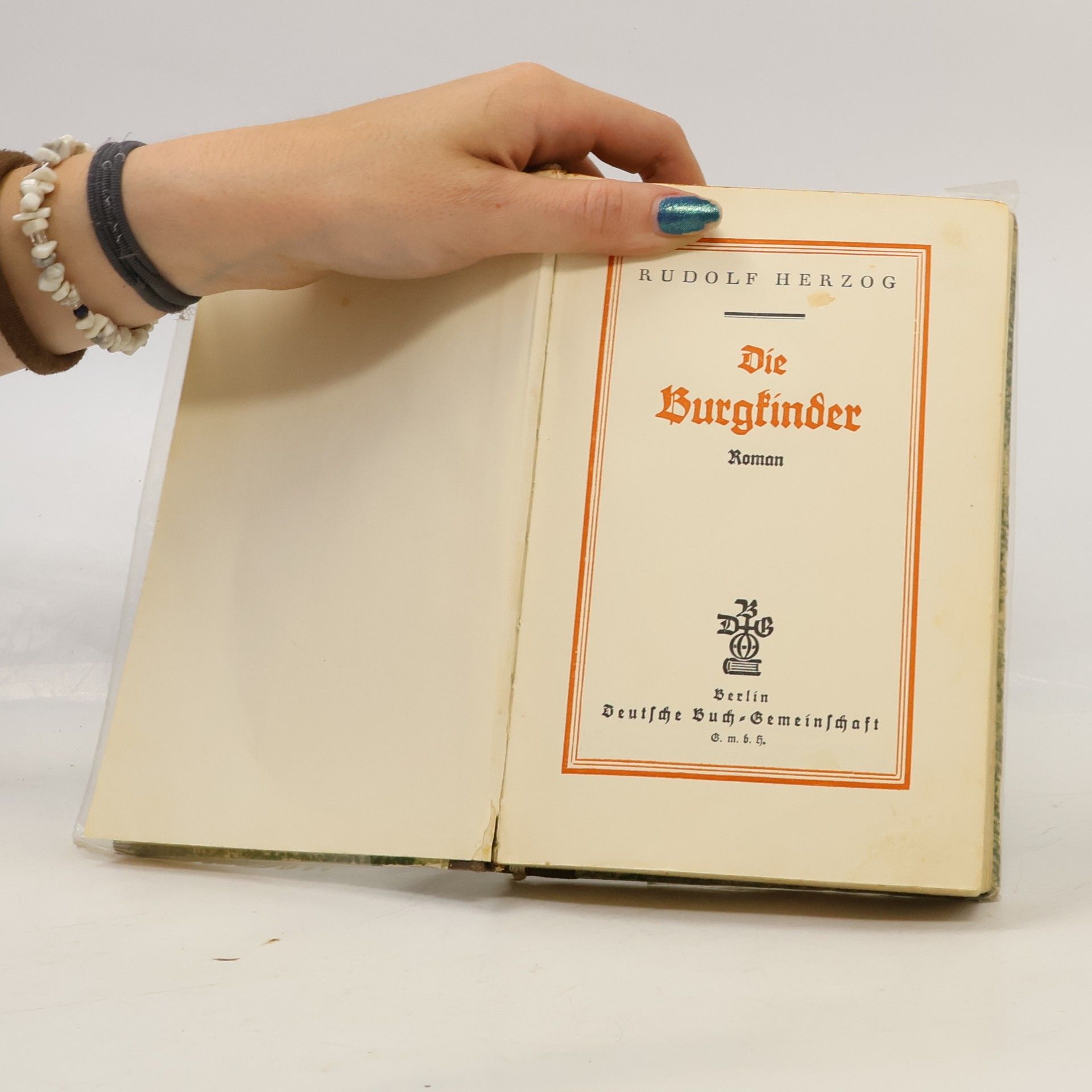 Rudolf Herzog Die Burgkinder