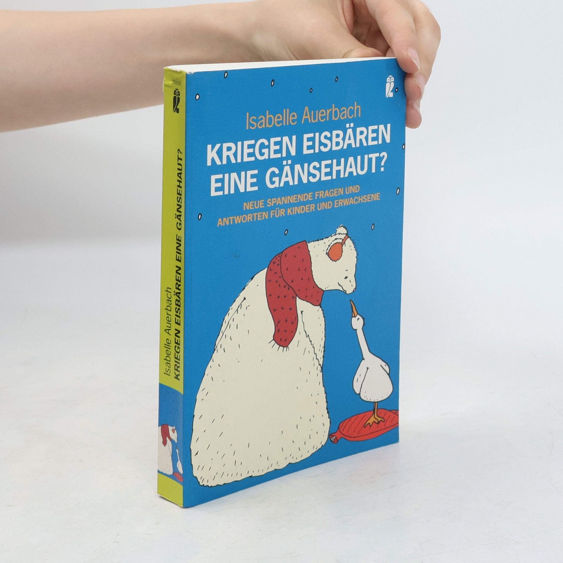 Isabelle Auerbach Kriegen Eisbären eine Gänsehaut?