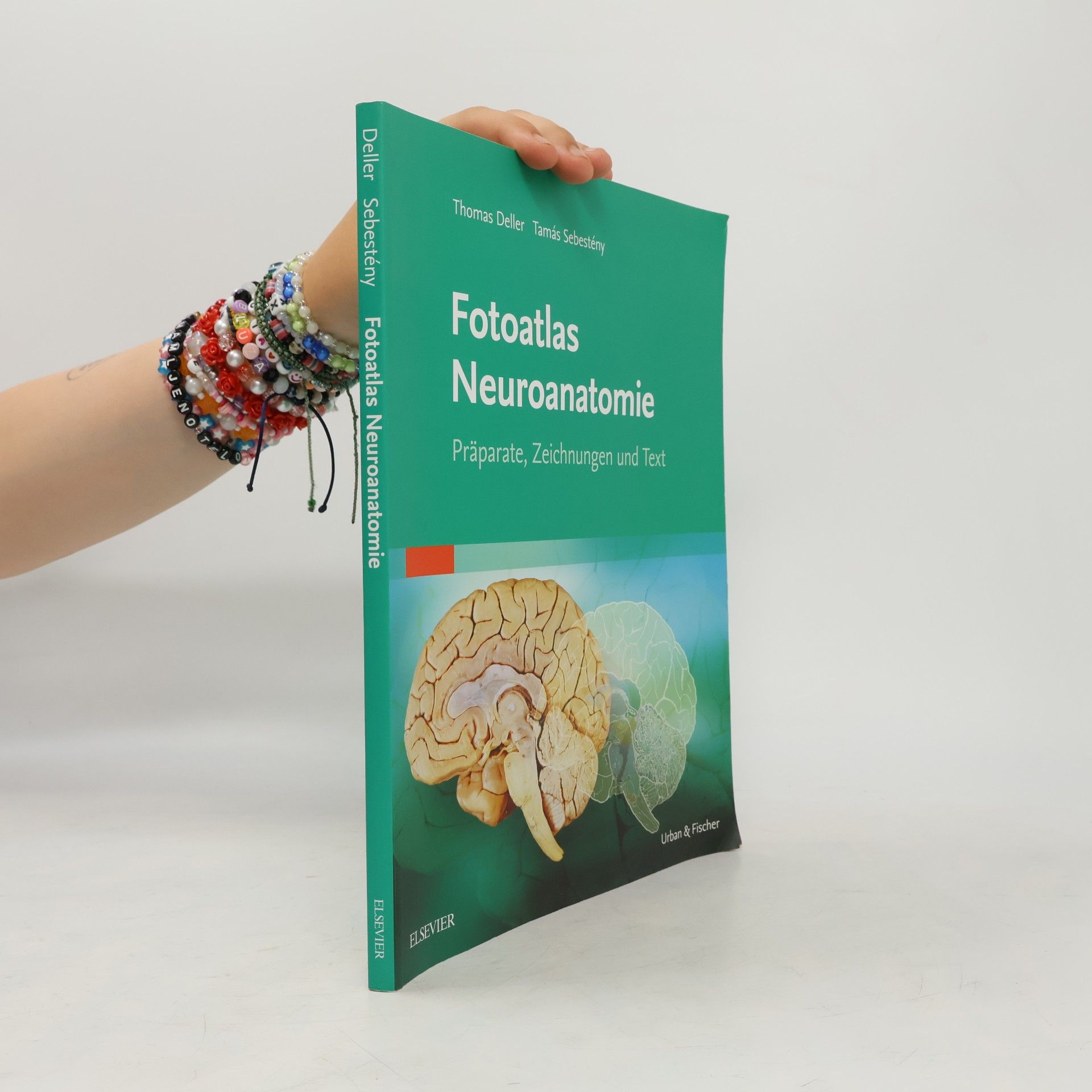 Thomas Deller Fotoatlas Neuroanatomie