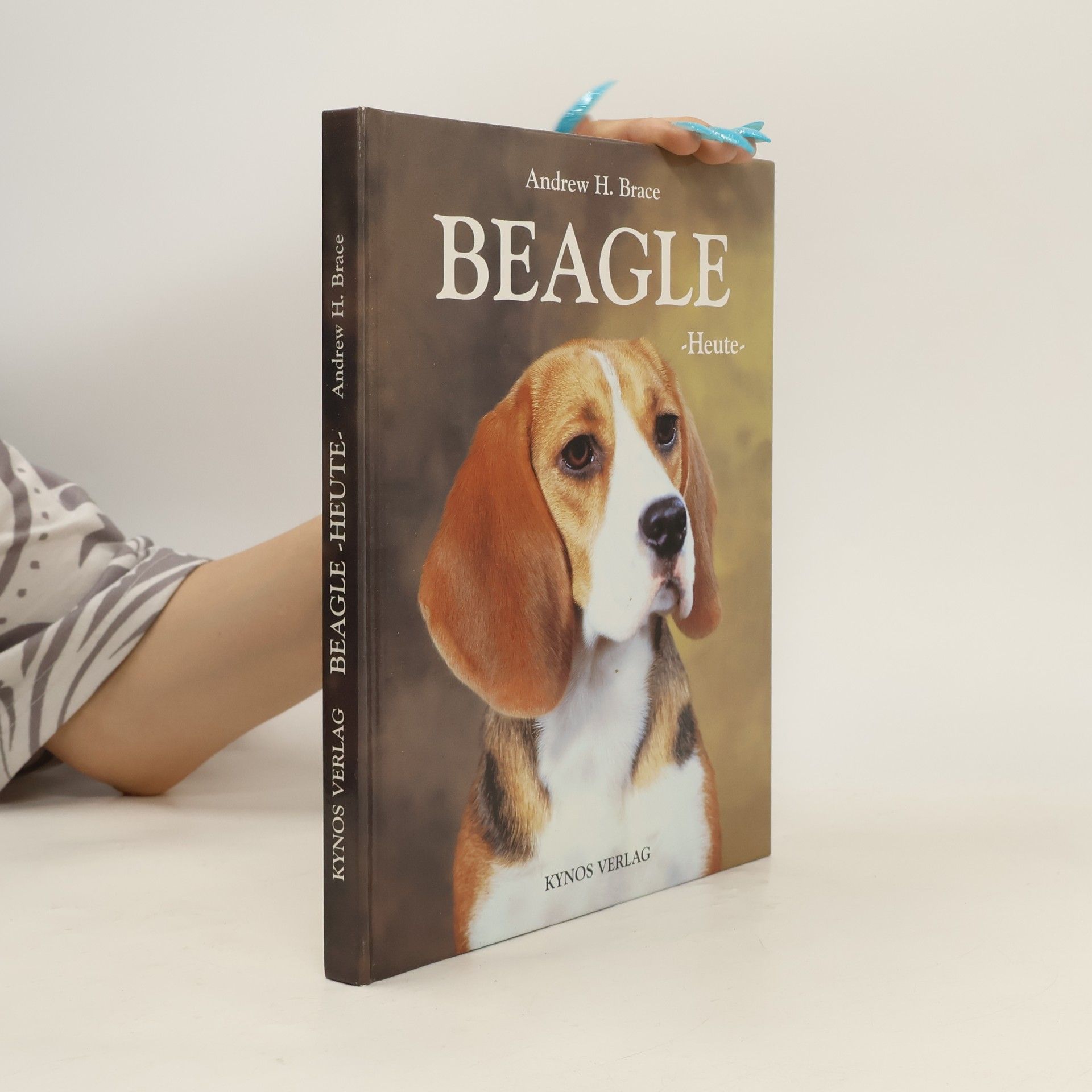 Andrew H. Brace Beagle heute
