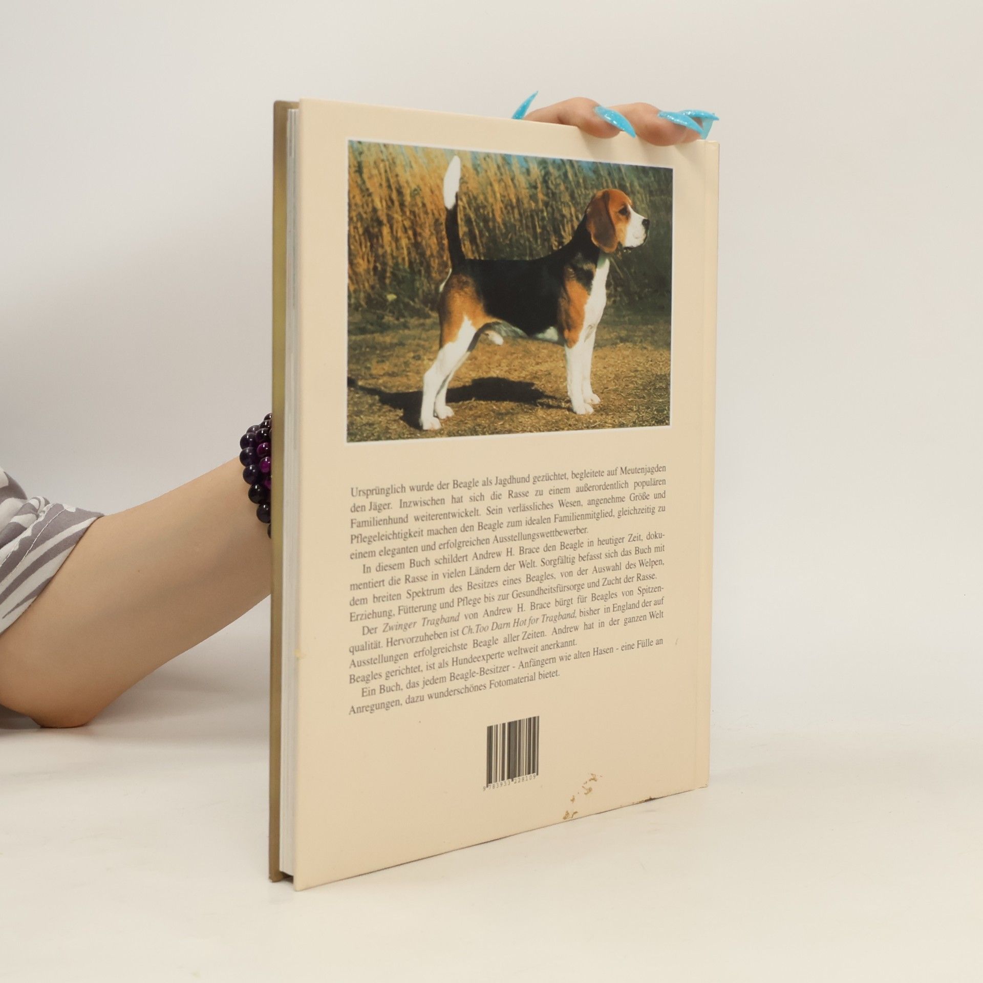 Andrew H. Brace Beagle heute