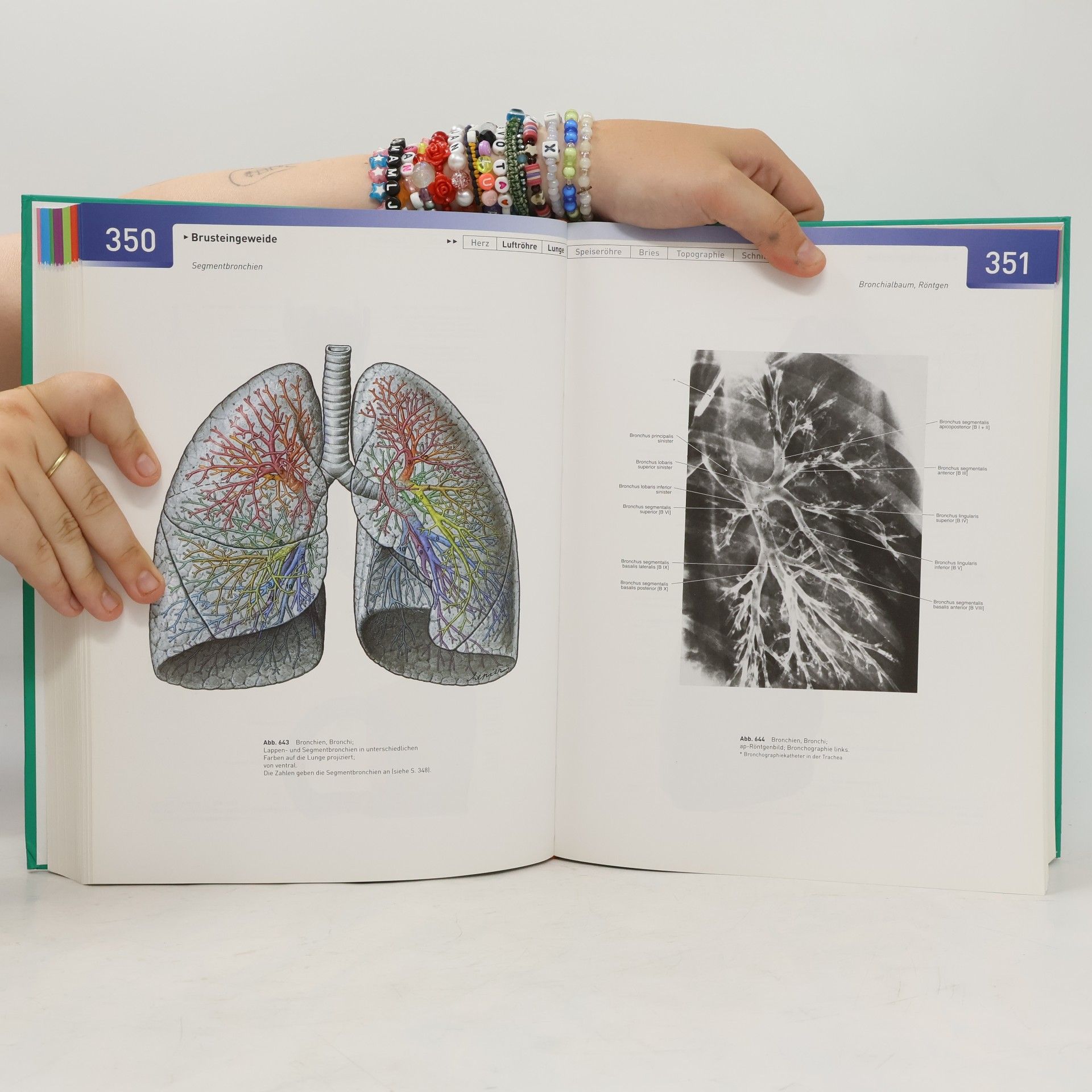 Kolektiv autorů Sobotta. Anatomie des Menschen. Der komplette Atlas in einem Band