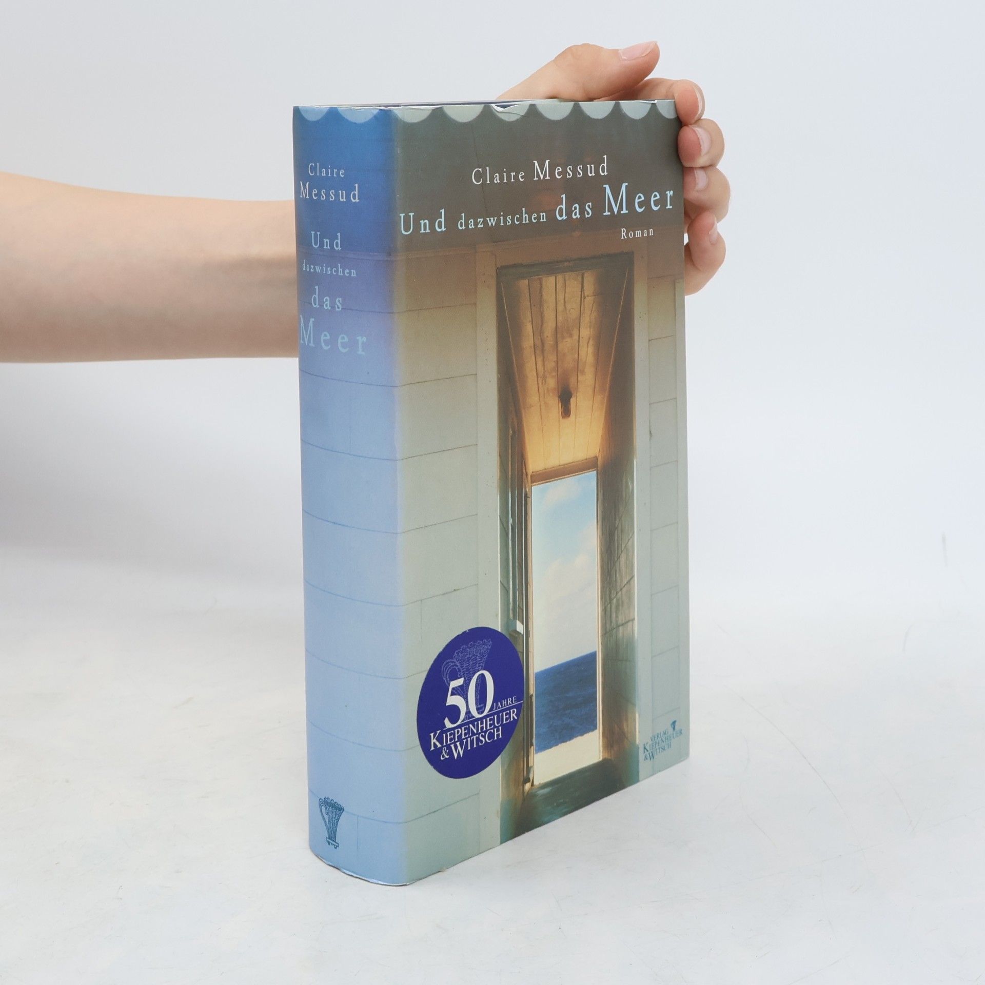 Claire Messud Und dazwischen das Meer