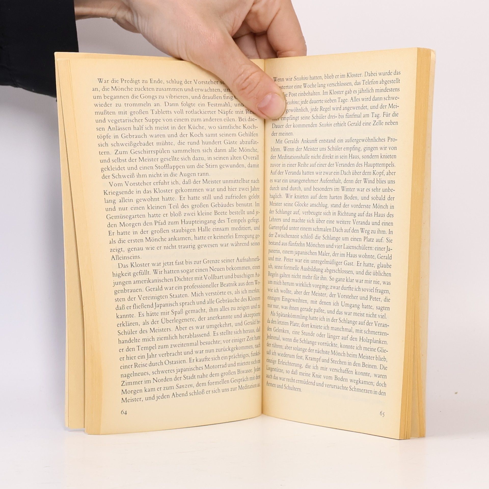 Janwillem van de Wetering Der leere spiegel