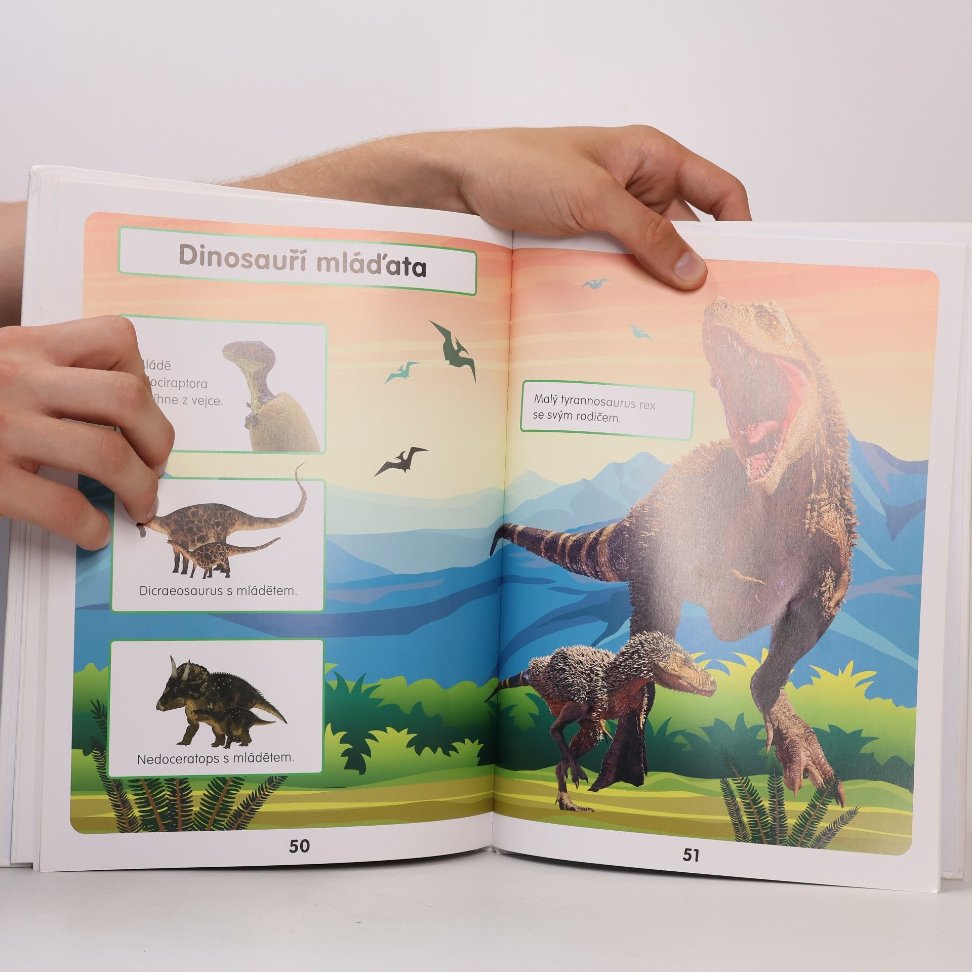 Melanie Hibbert Moji první dinosauři