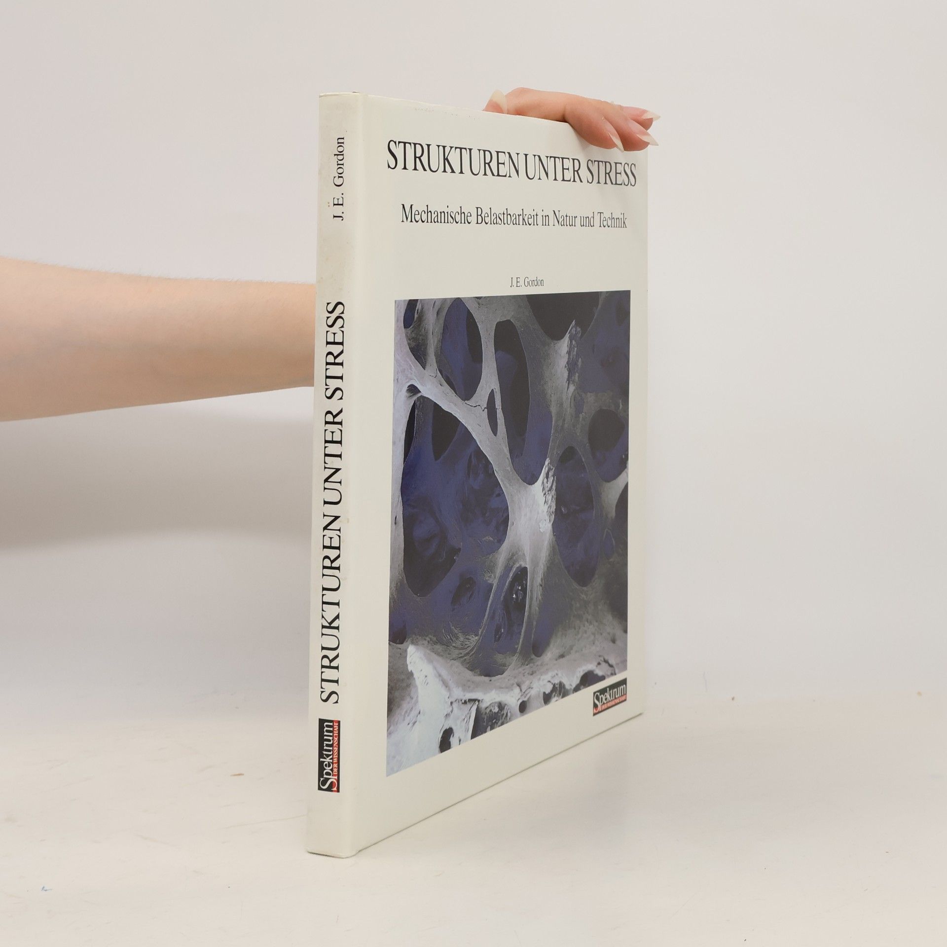 J. E. Gordon Strukturen unter Stress