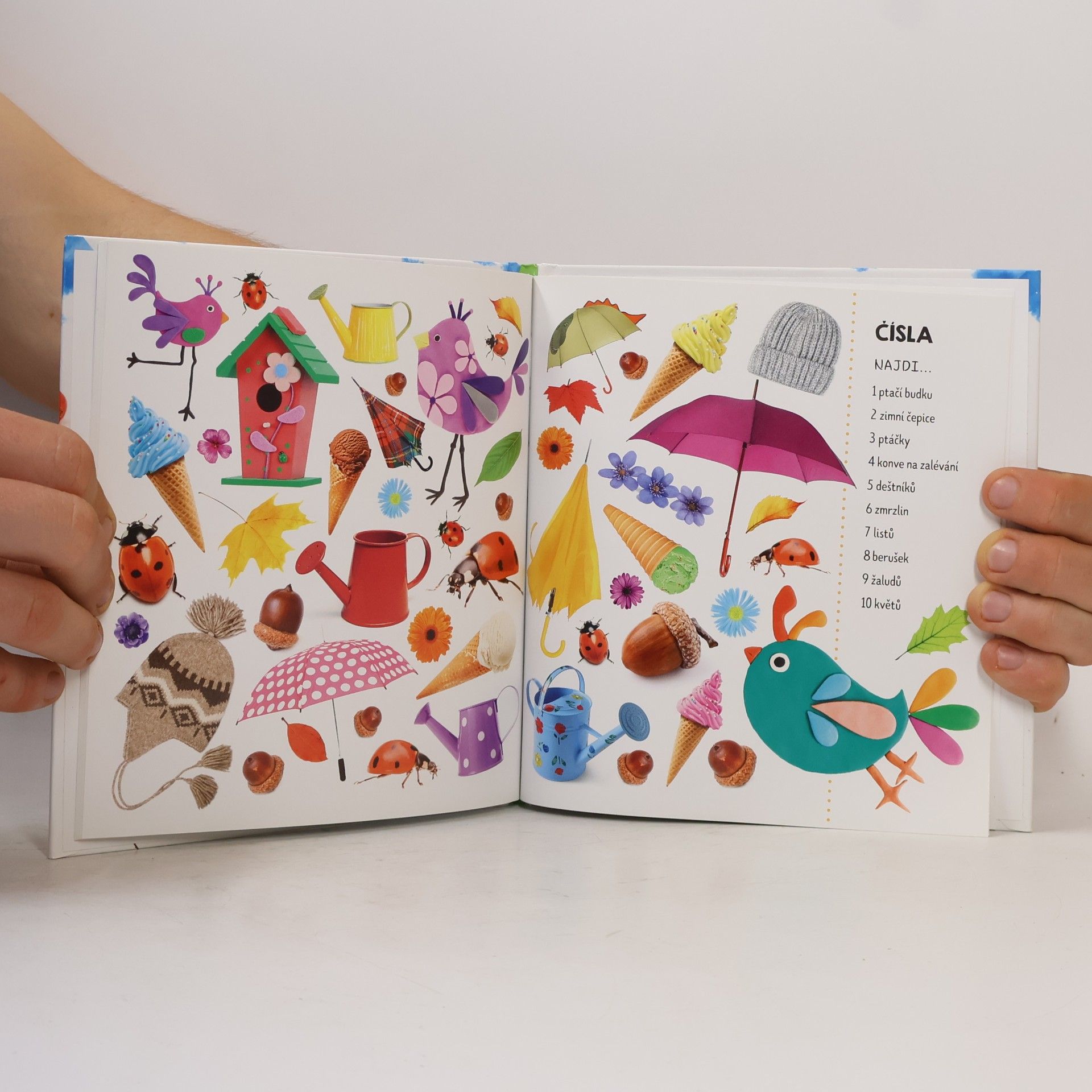 Kolektiv autorů Roční období : fotokniha