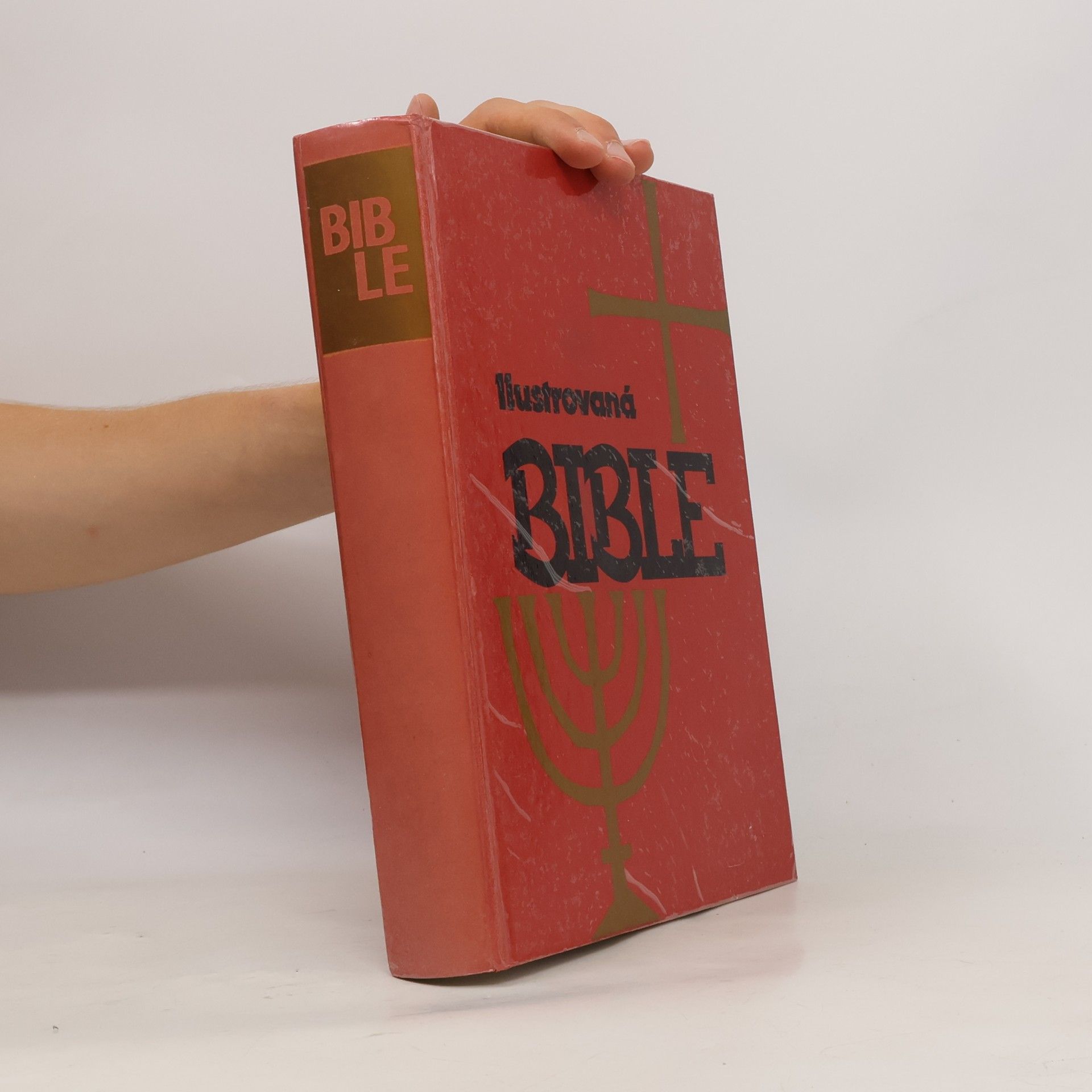 Samuel Terrien Ilustrovaná Bible pro mládež