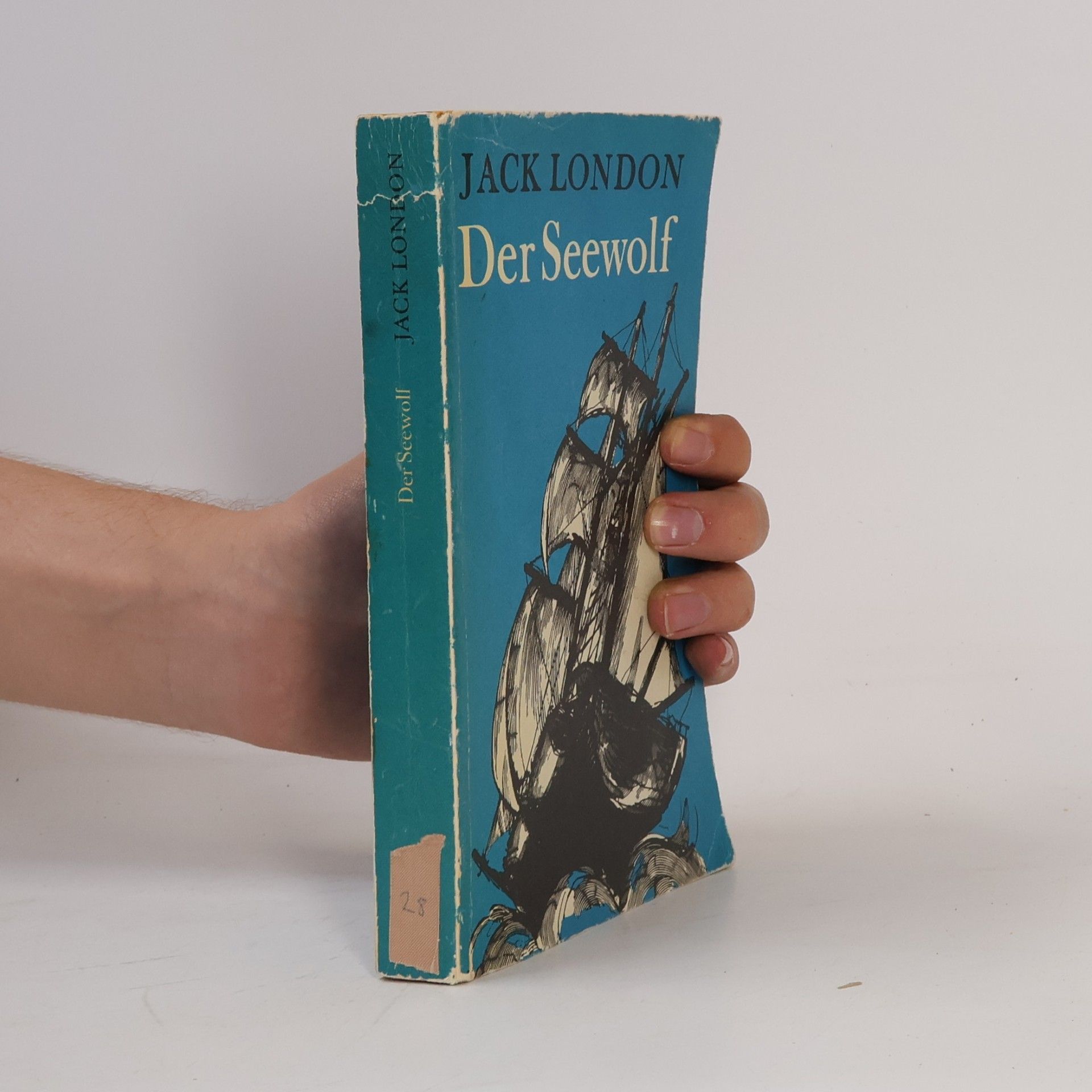 Jack London Der Seewolf