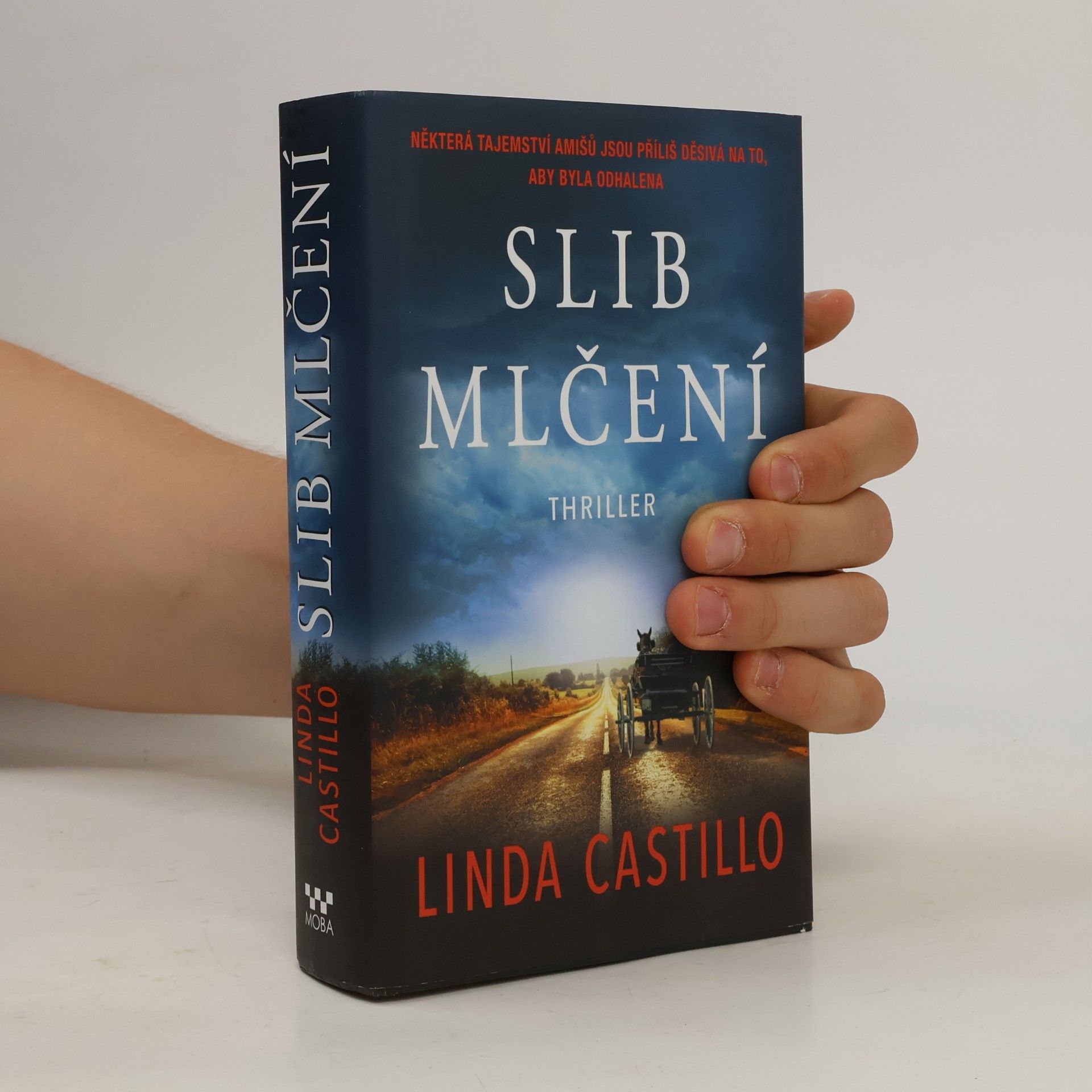 Linda Castillo Slib mlčení