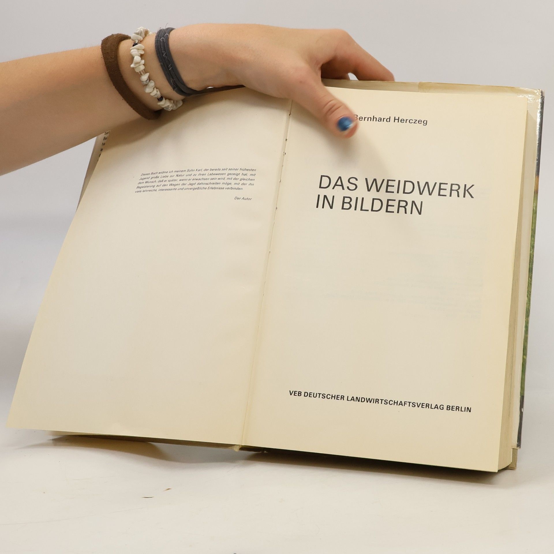 Alojz Bernard Herczeg Das Weidwerk in Bildern