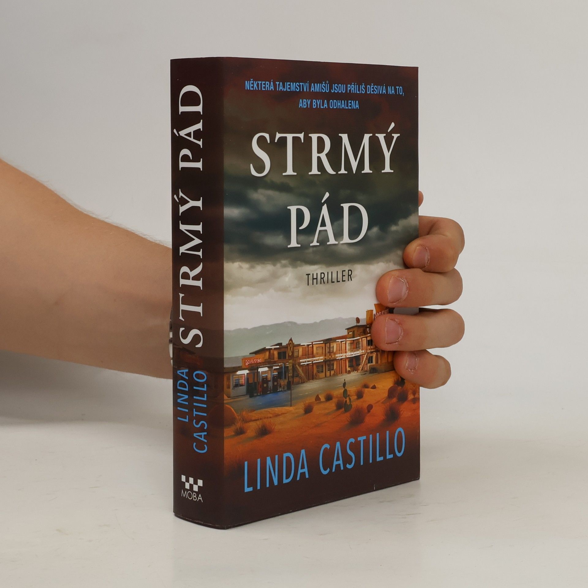Linda Castillo Strmý pád