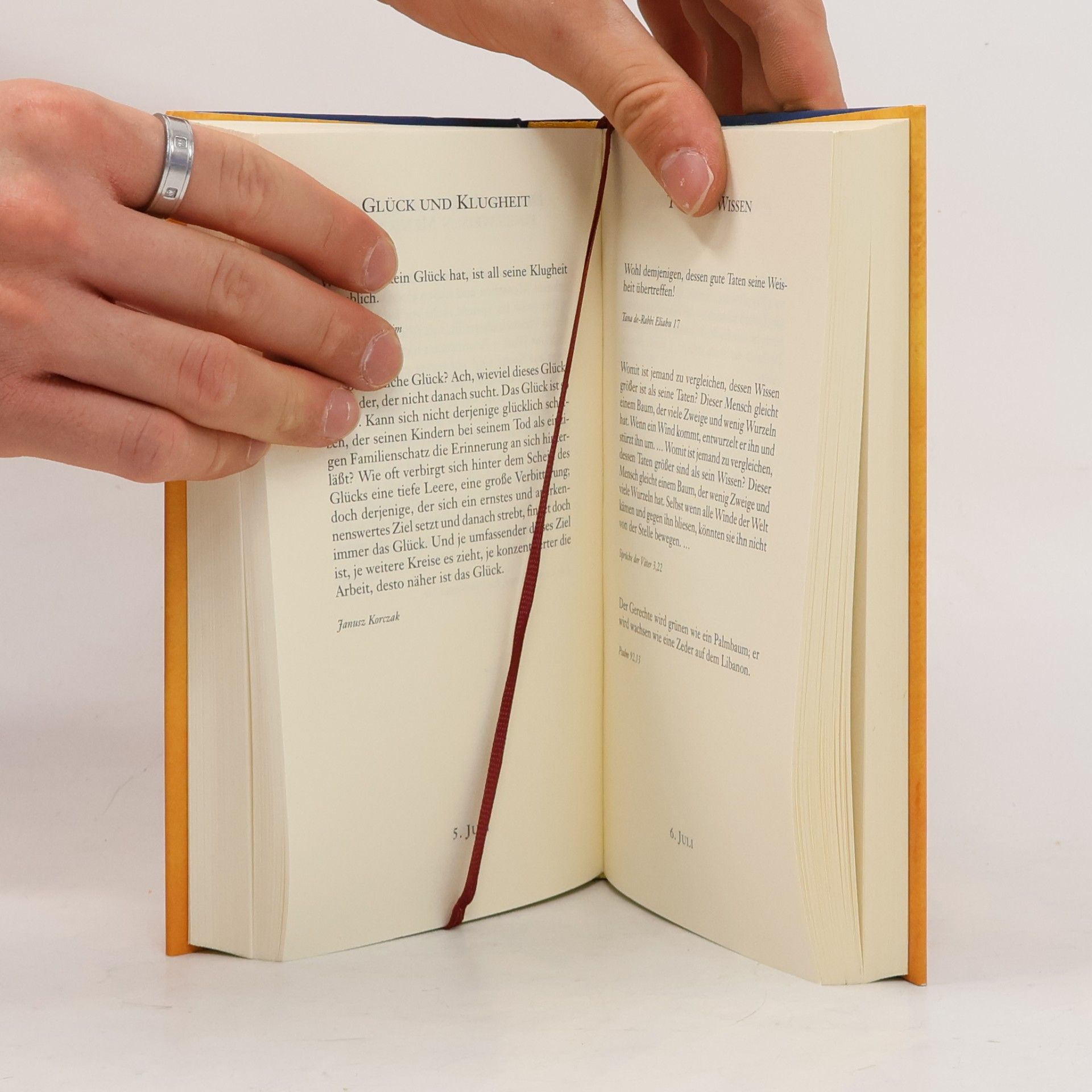 Walter Homolka Die Weisheit des Judentums