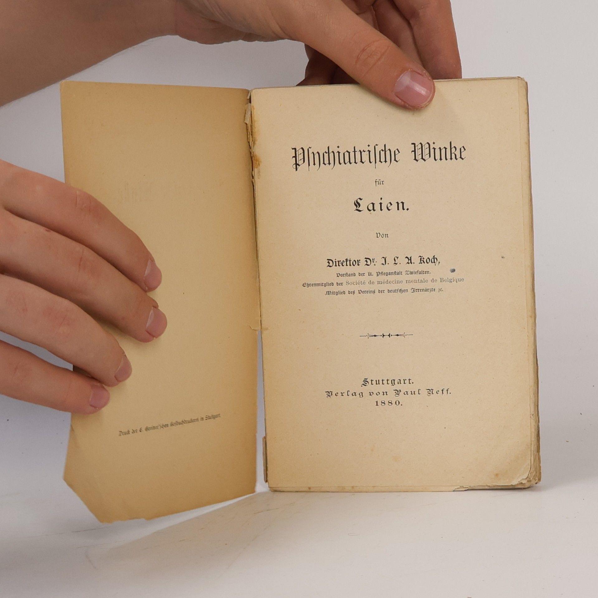 Julius Ludwig August Koch Psychiatrische Winke für Laien