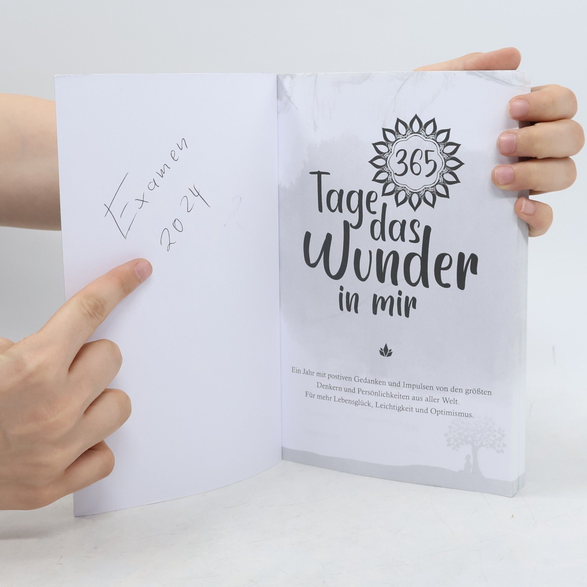 Luise Wauer 365 Tage das Wunder in mir: Ein Jahr mit positiven Gedanken und Impulsen von den größten Denkern und Persönlichkeiten aus aller Welt für mehr Lebensglück, Leichtigkeit und Optimismus