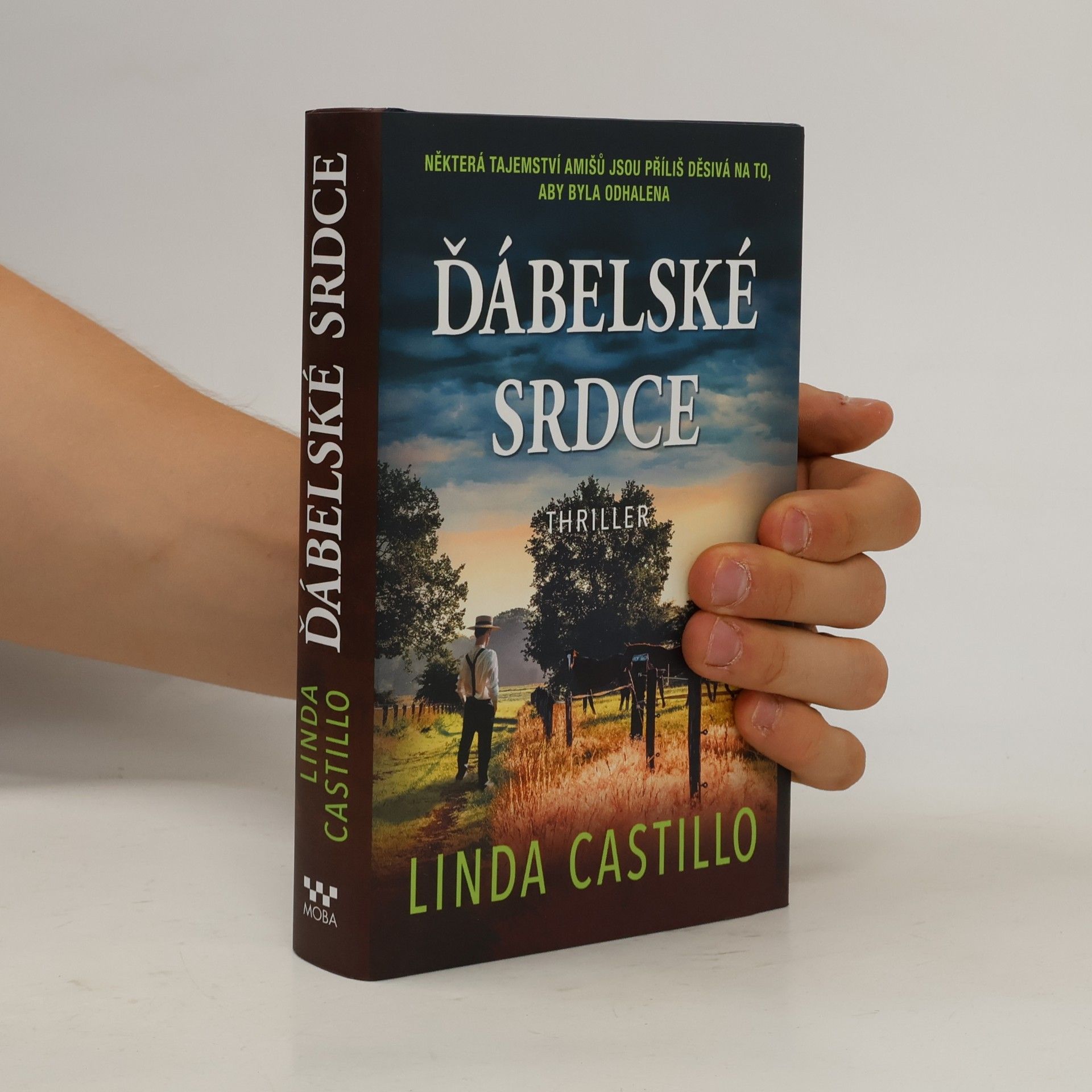 Linda Castillo Ďábelské srdce