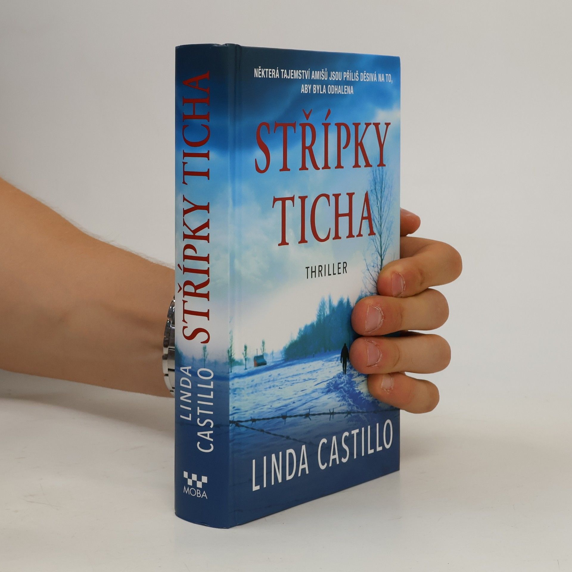 Linda Castillo Střípky ticha