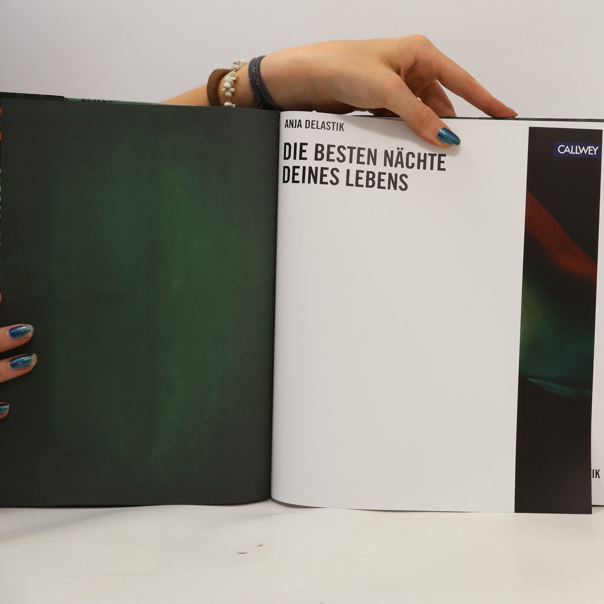 Anja Delastik DIE BESTEN NÄCHTE DEINES LEBENS