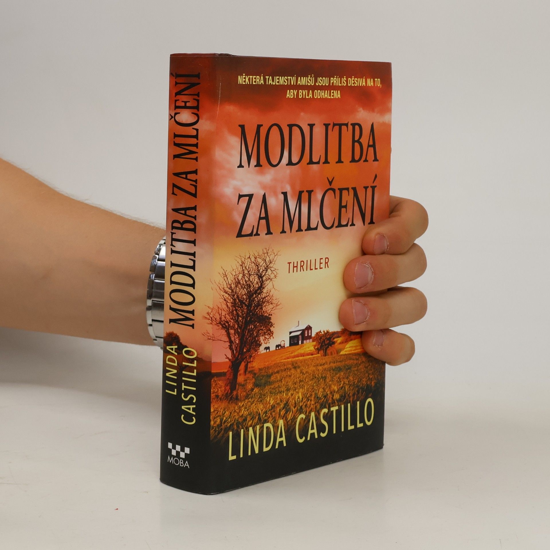 Linda Castillo Modlitba za mlčení
