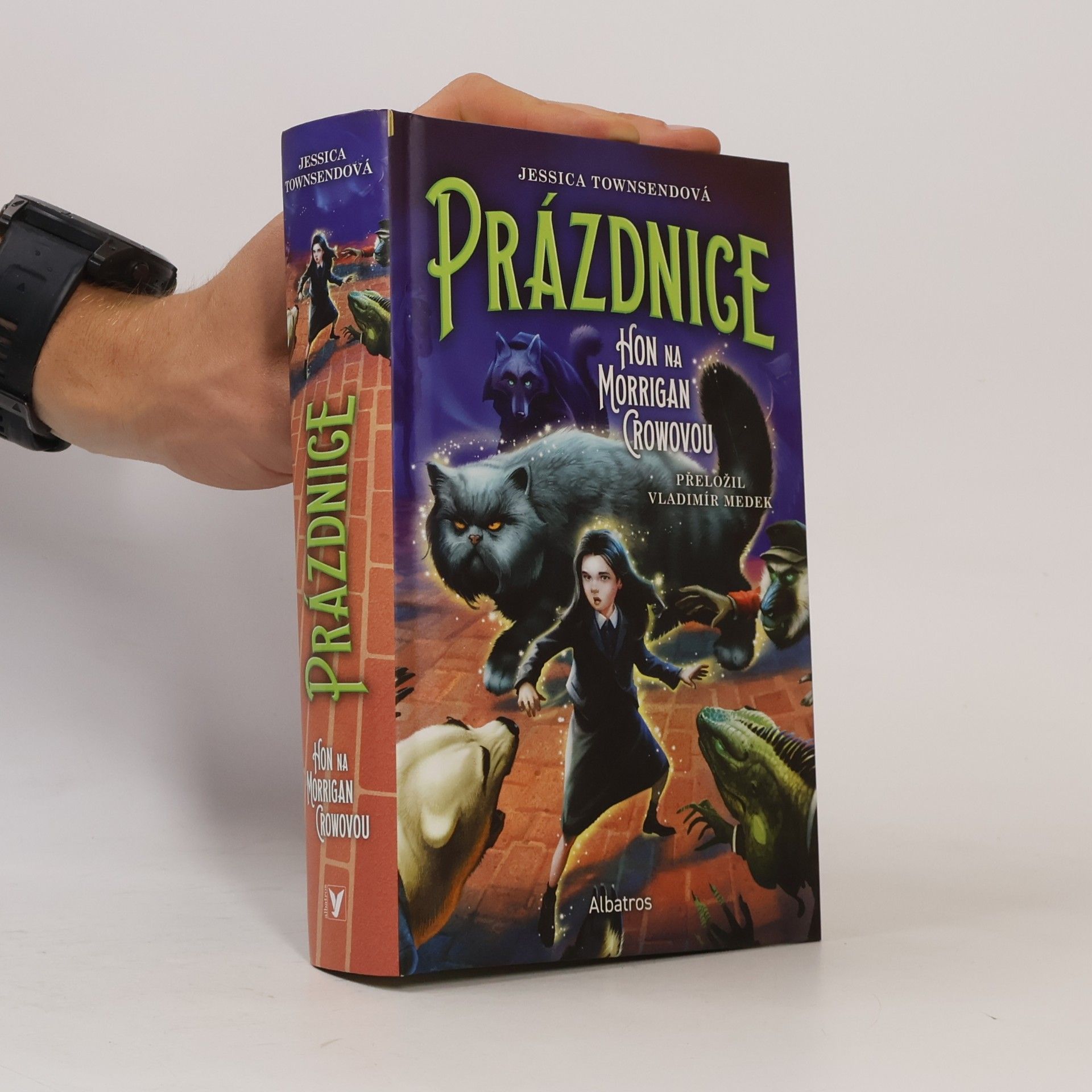 Jessica Townsend Prázdnice. Hon na Morrigan Crowovou