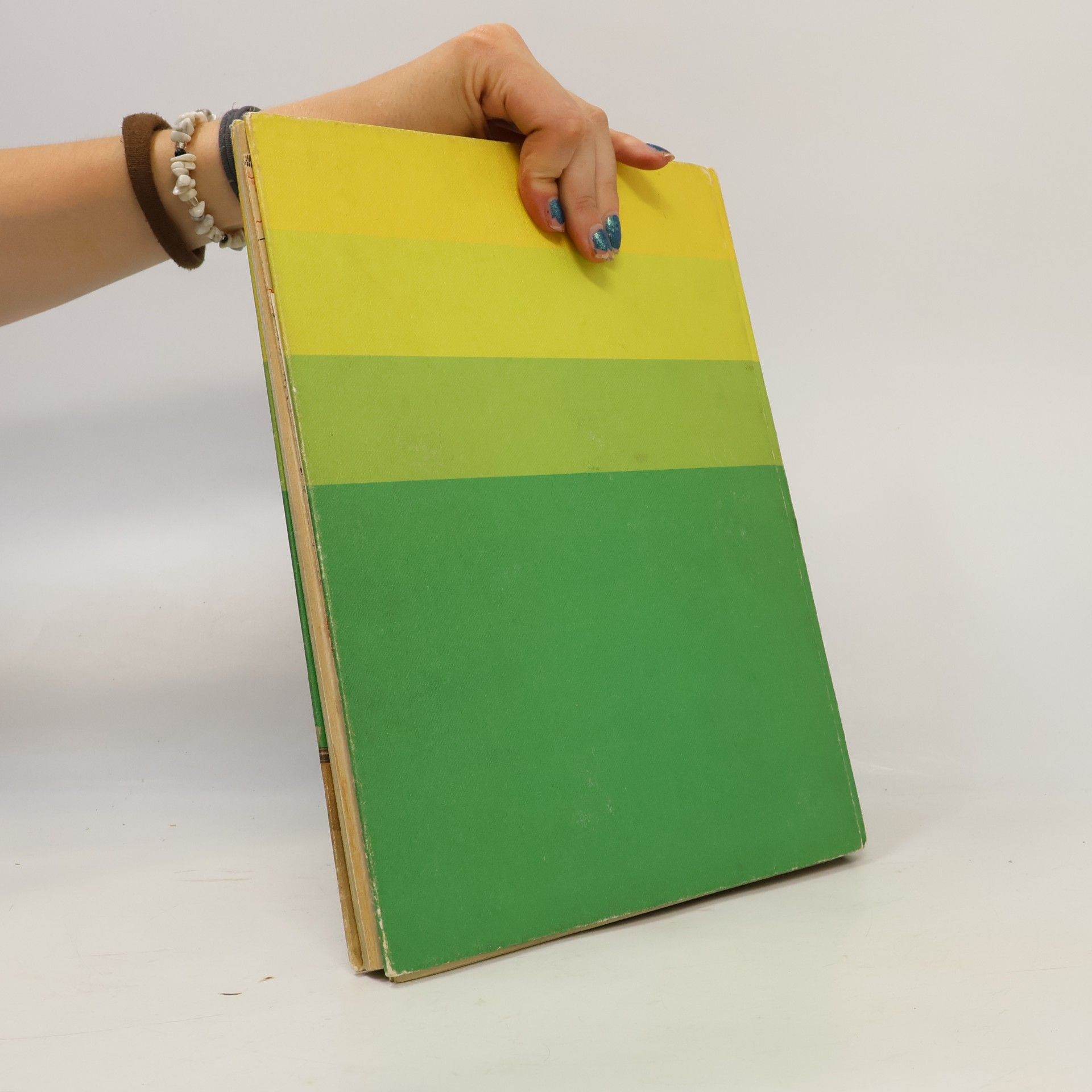 Margret Woltin Grosses Bastelbuch