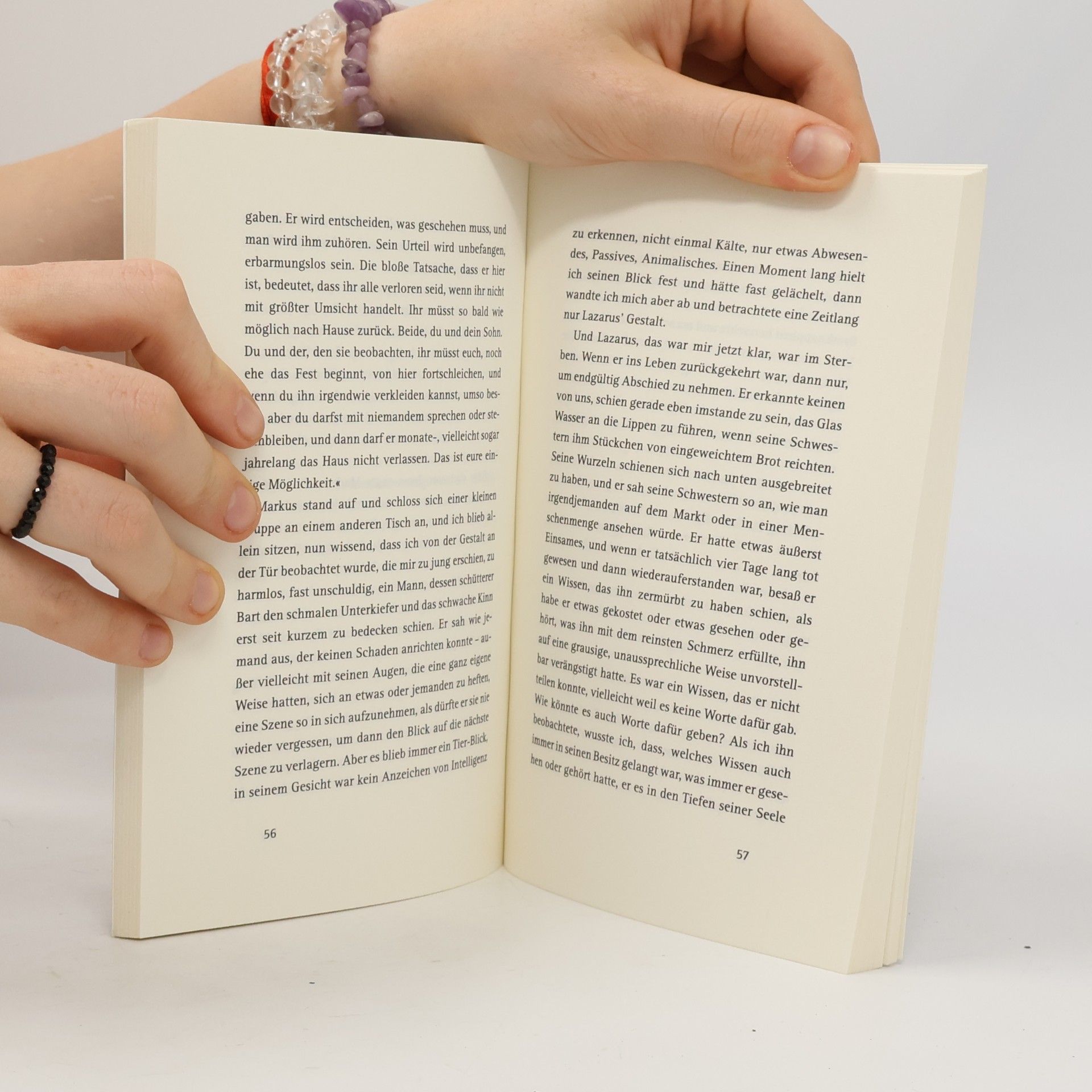 Colm Tóibín Marias Testament