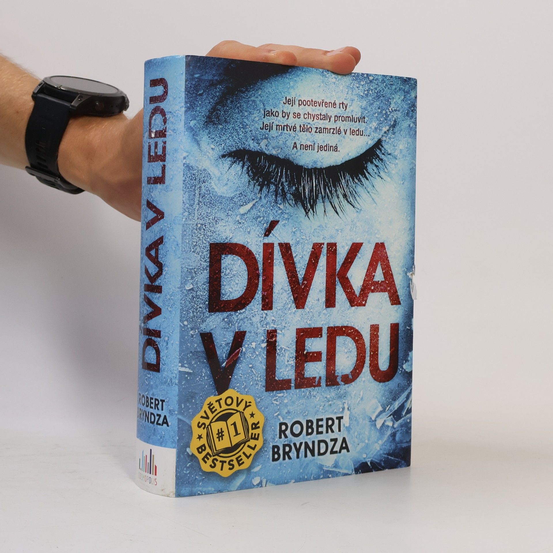 Robert Bryndza Dívka v ledu