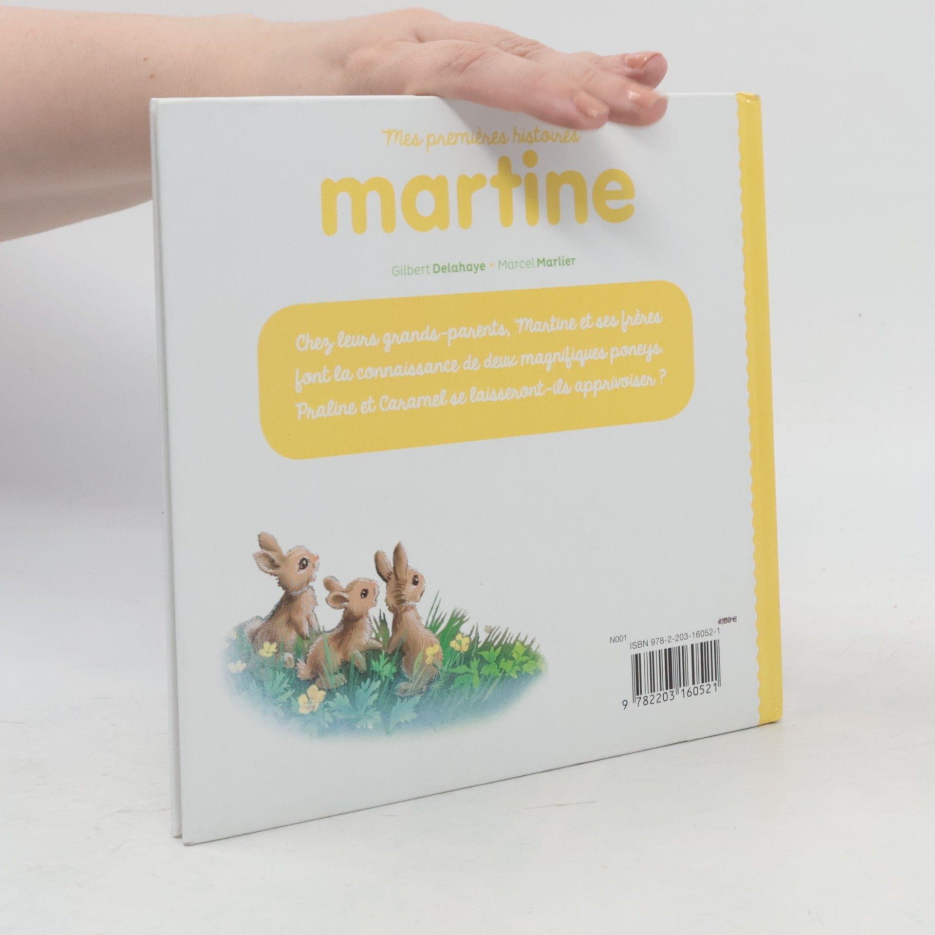 Gilbert Delahaye Martine, mes premières histoires - Martine adore les poneys