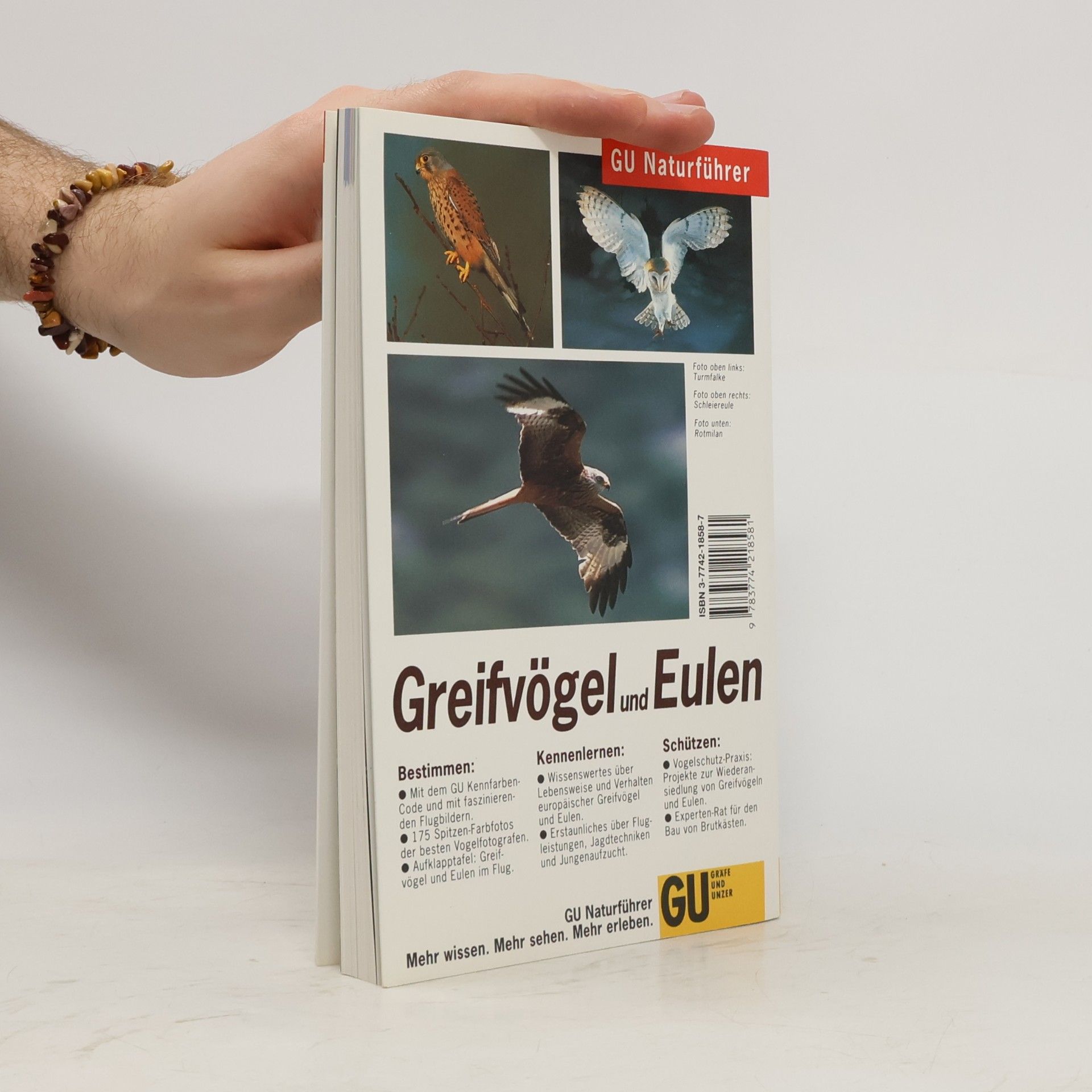 Jürgen Nicolai GU Naturführer: Greifvögel und Eulen