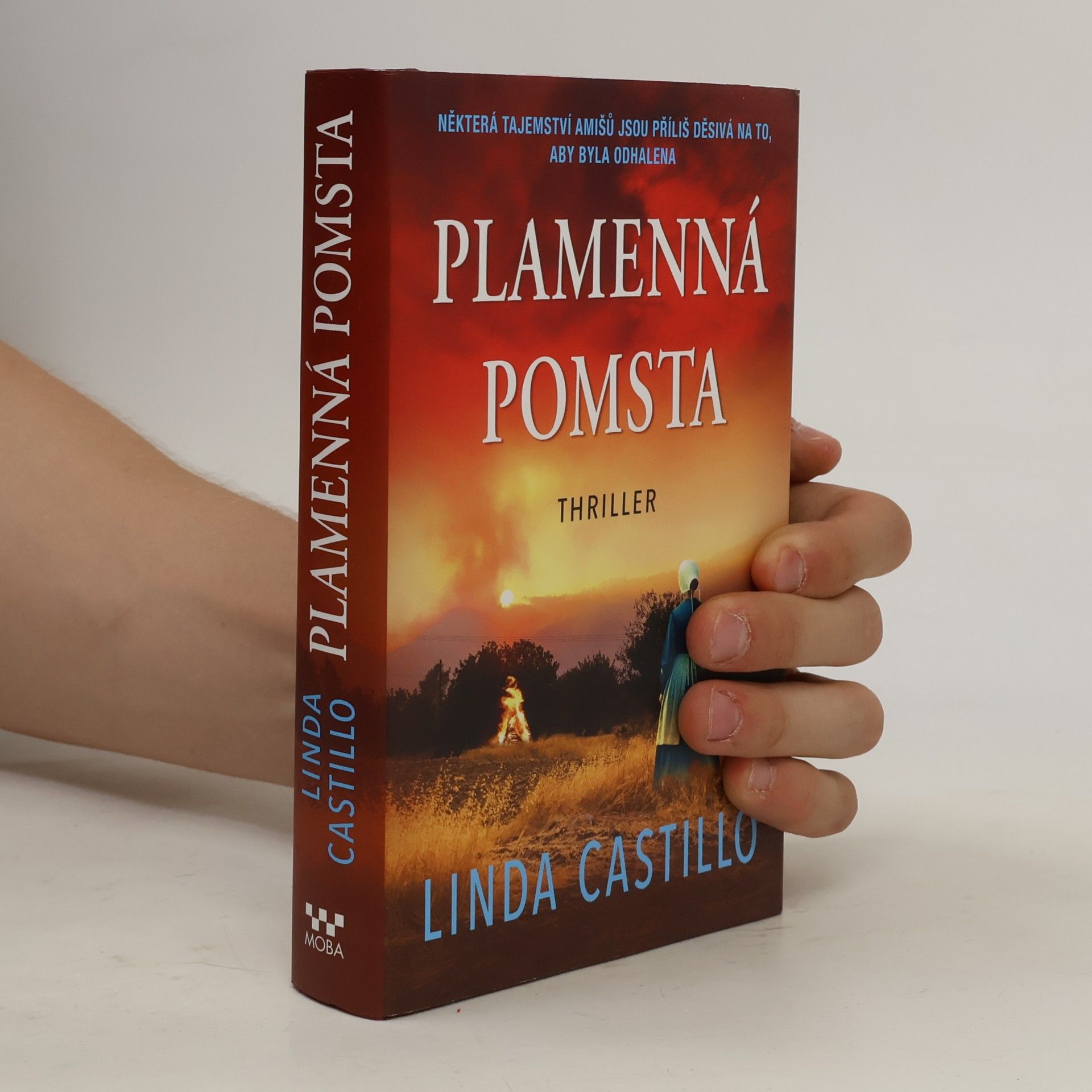 Linda Castillo Plamenná pomsta