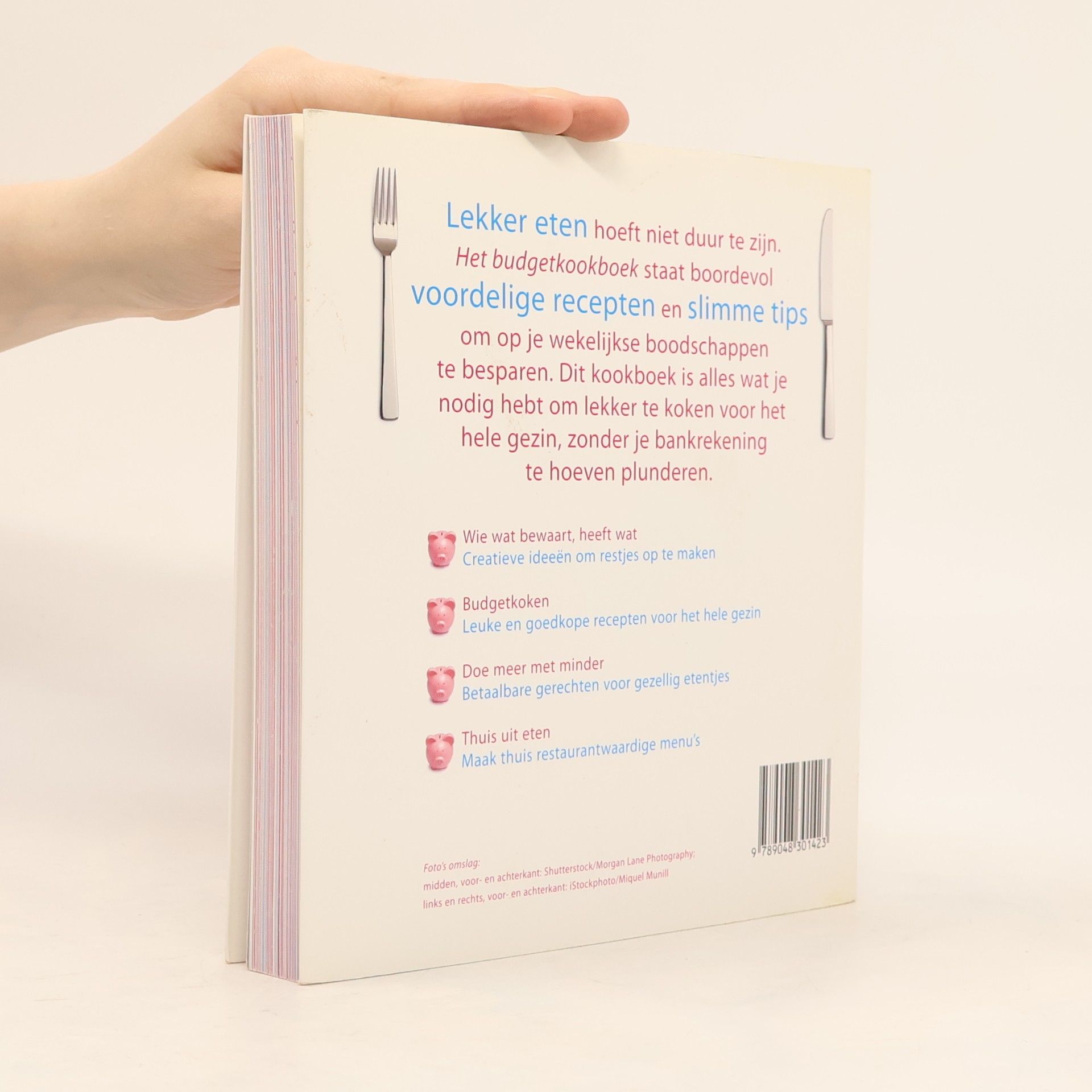 Cara Frost-Sharrat Het budgetkookboek