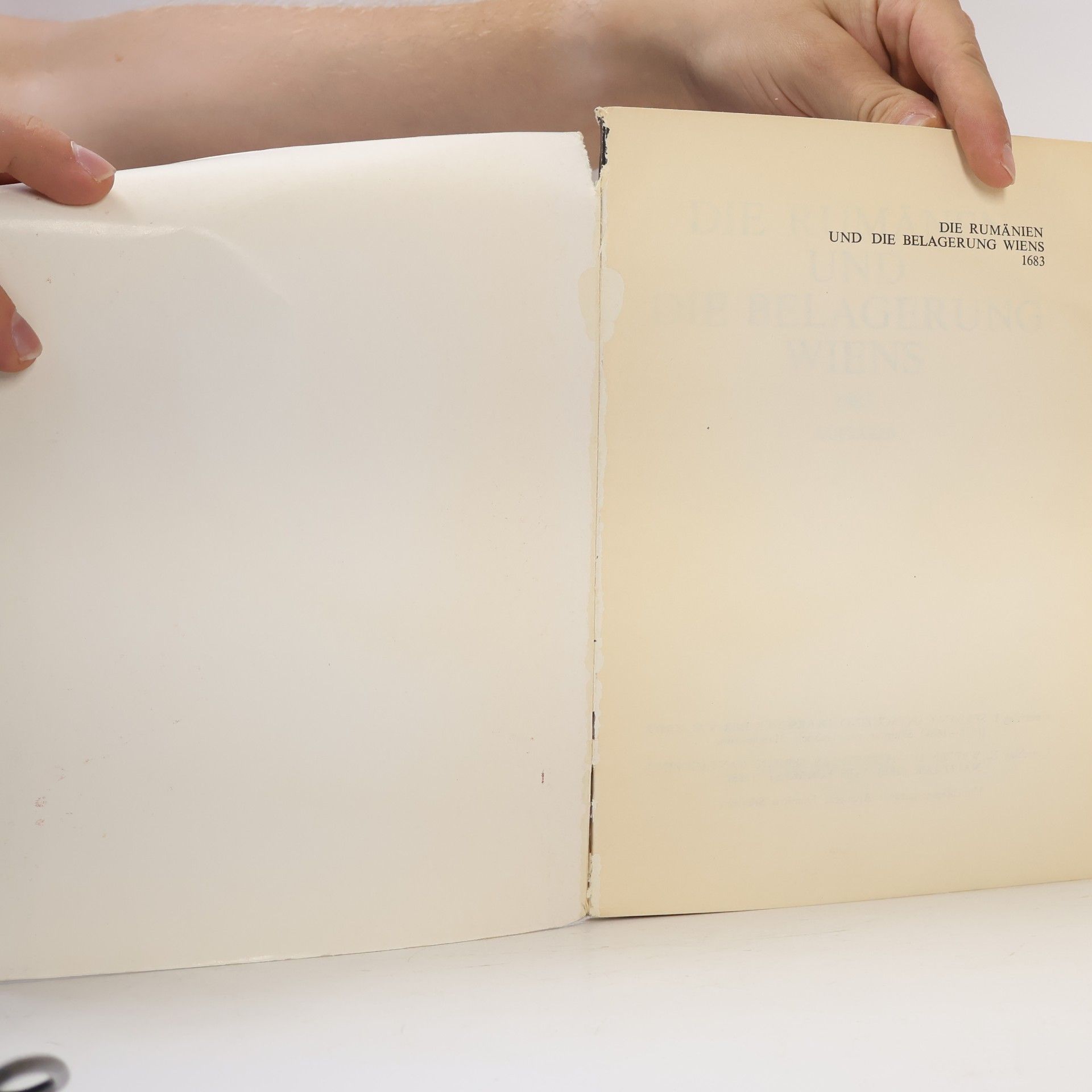 Various authors Die Rumänen und die Belagerung Wiens 1683: Aufsätze