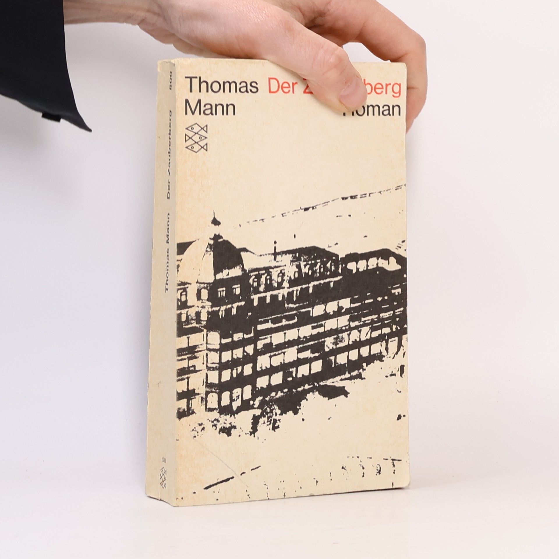 Thomas Mann Der Zauberberg