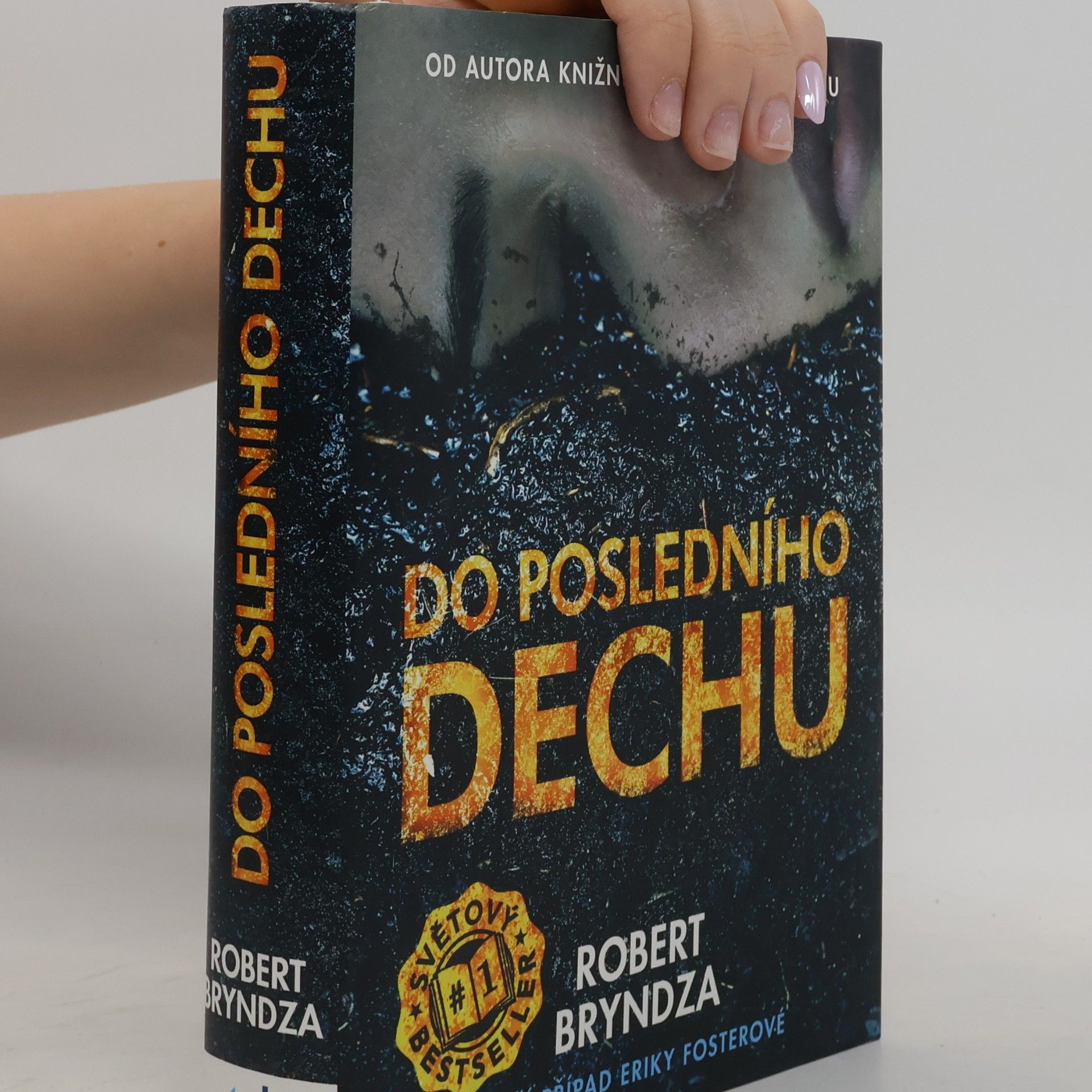 Robert Bryndza Do posledního dechu