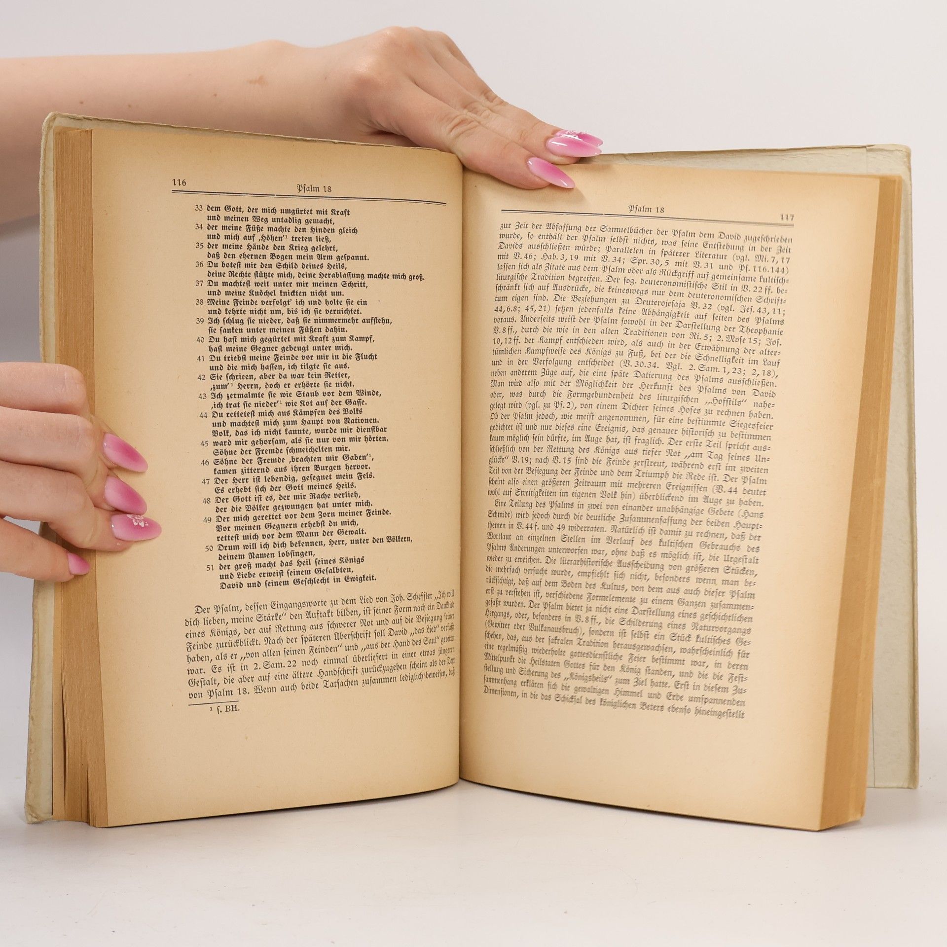 Autorenkollektiv Das Alte Testament Deutsch 14