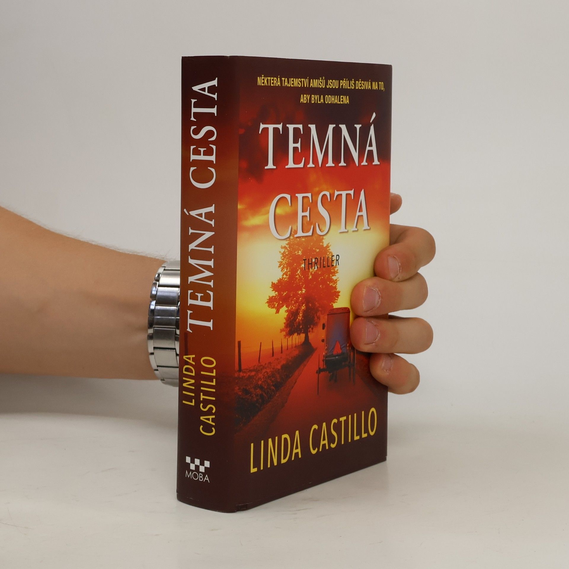 Linda Castillo Temná cesta