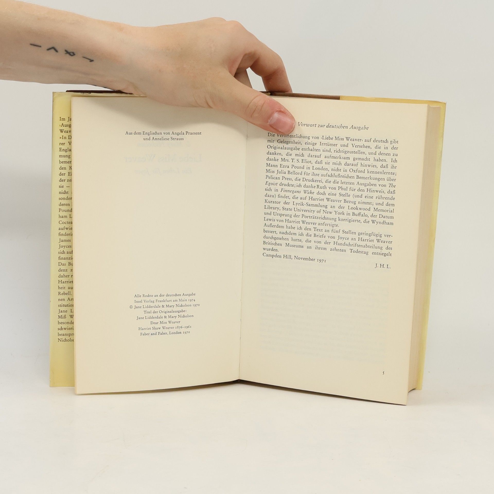 Mary Nicholson Liebe Miss Weaver. Ein Leben für Joyce