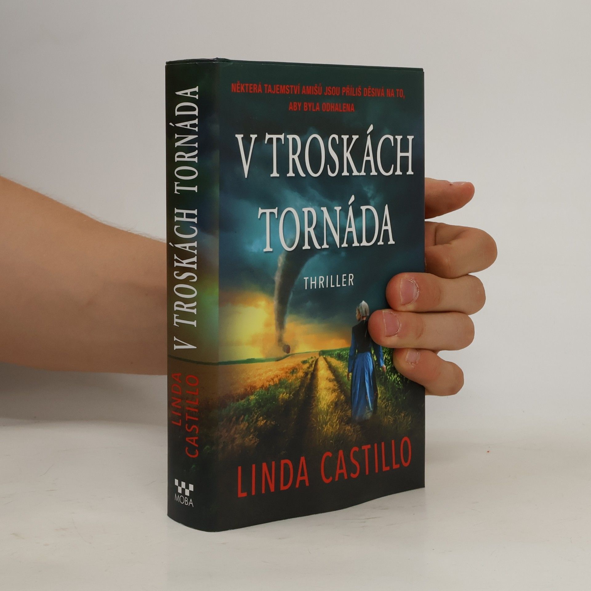 Linda Castillo V troskách tornáda