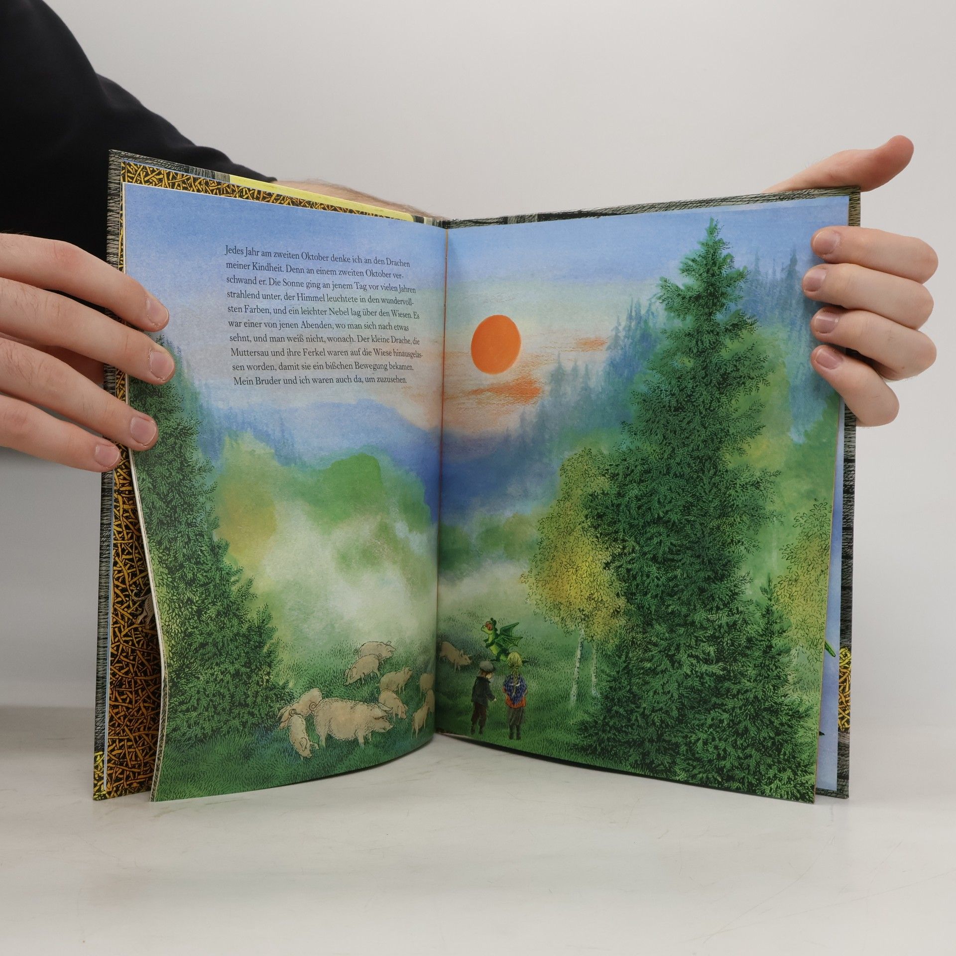 Astrid Lindgren Der Drache mit den roten Augen